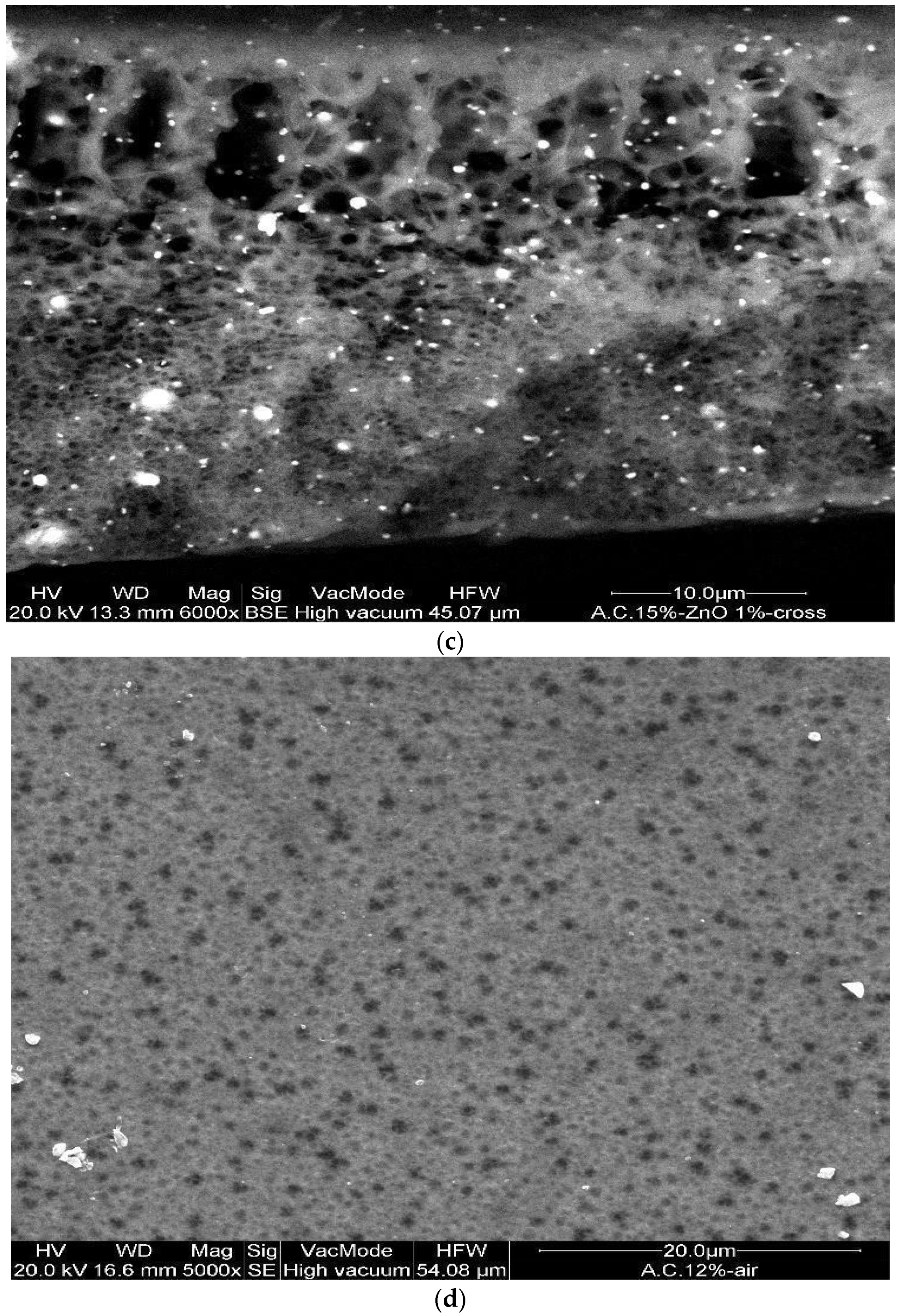 Polymers 14 00004 g003b