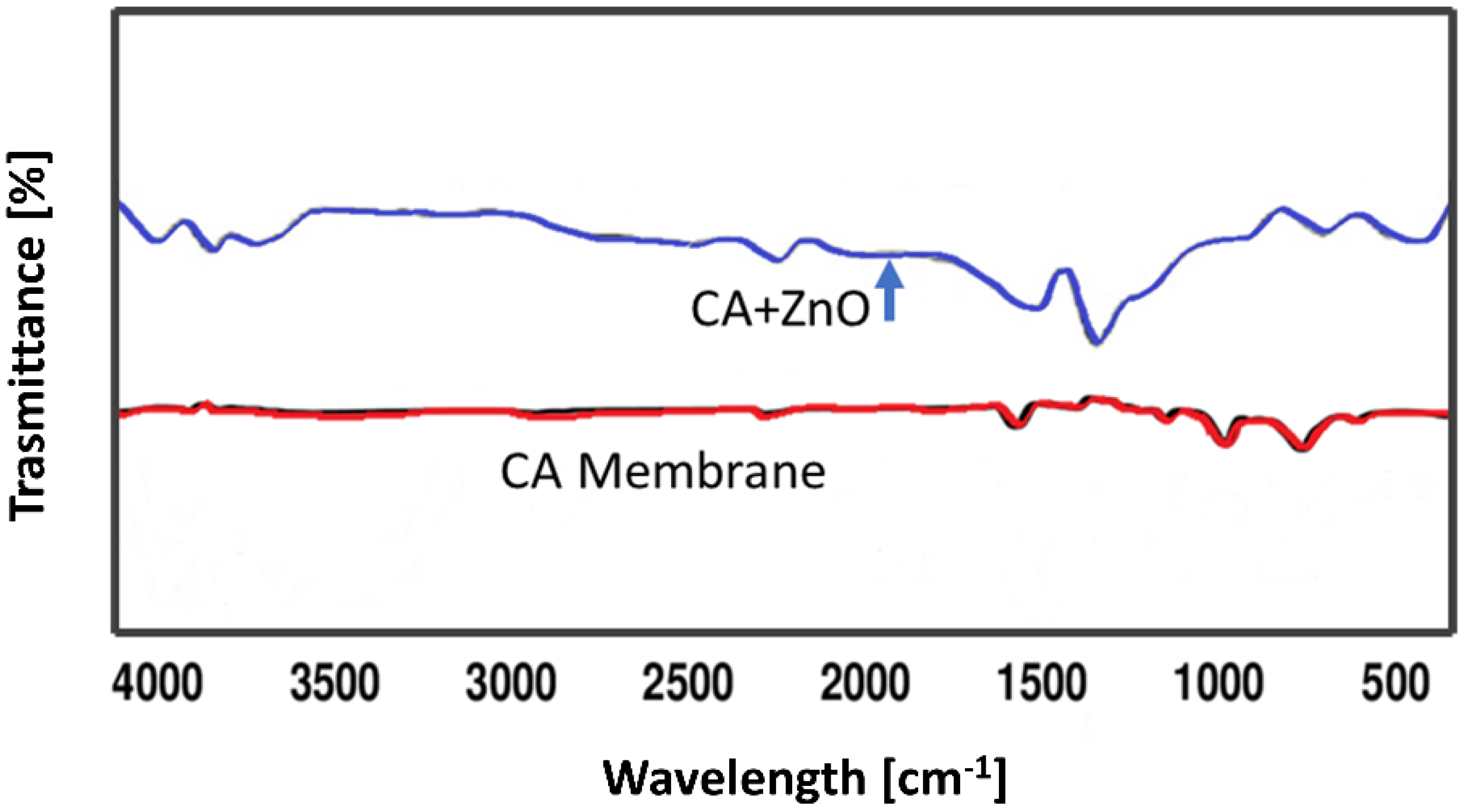 Polymers 14 00004 g004