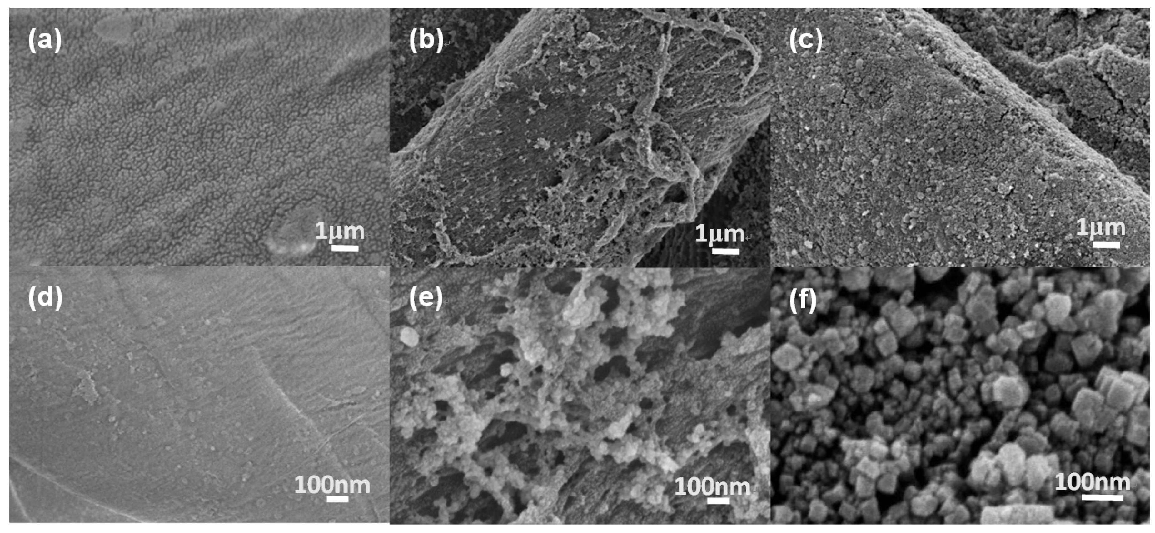 Polymers 14 00006 g003