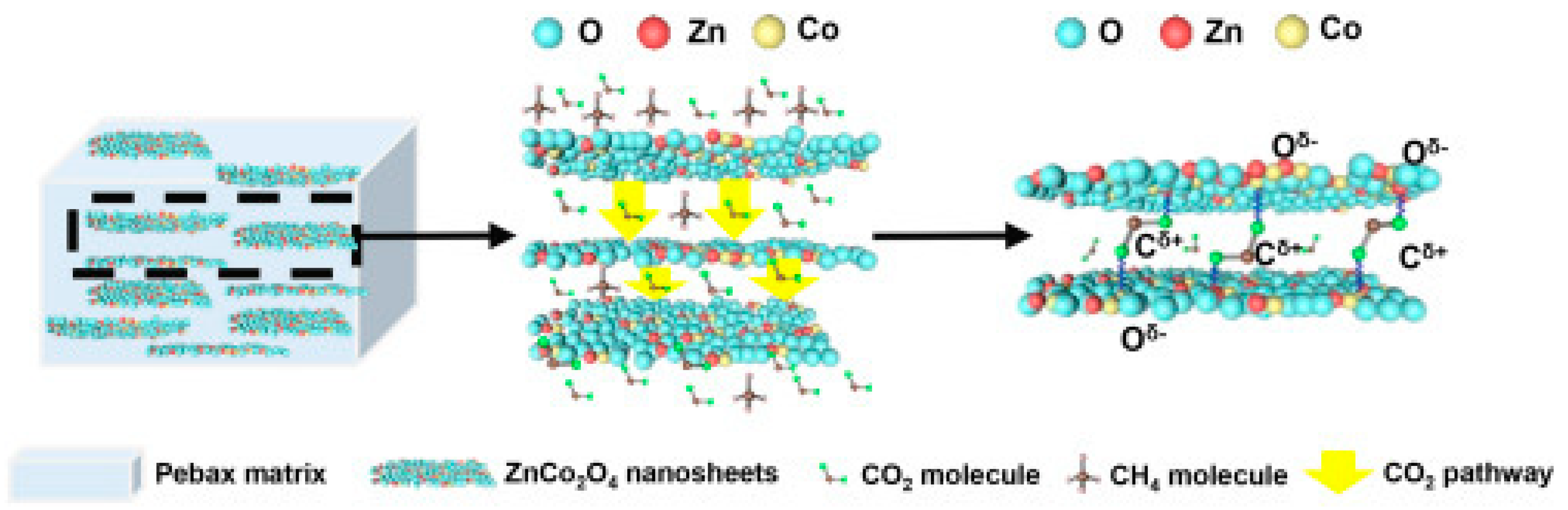 Polymers 14 00010 g004