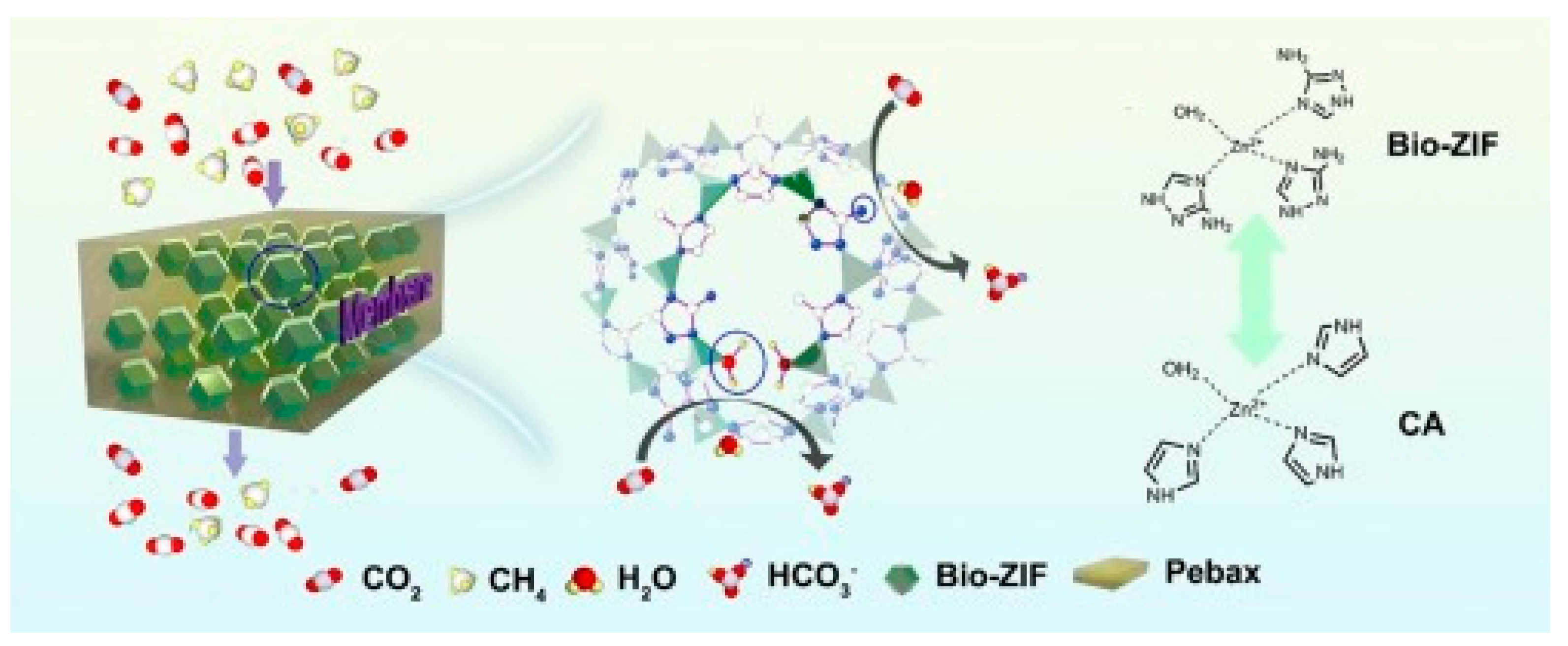 Polymers 14 00010 g006