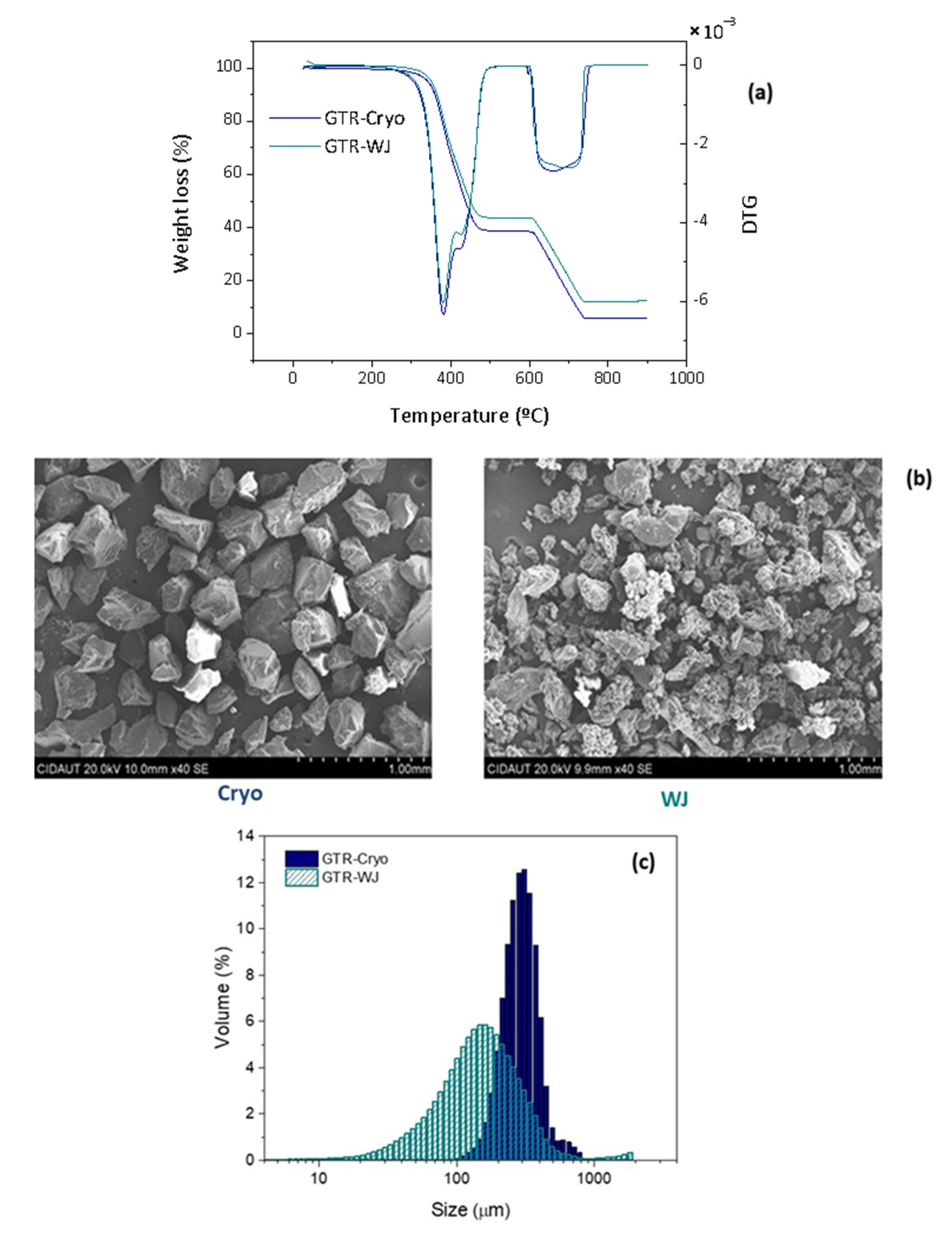 Polymers 14 00011 g001