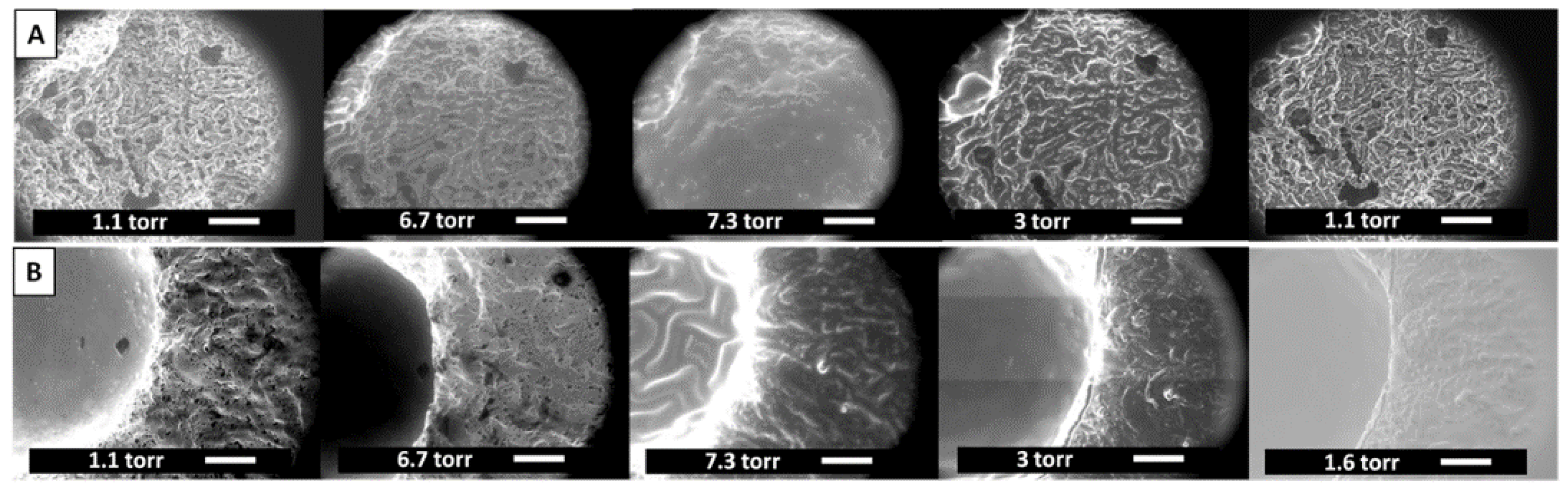 Polymers 14 00012 g003