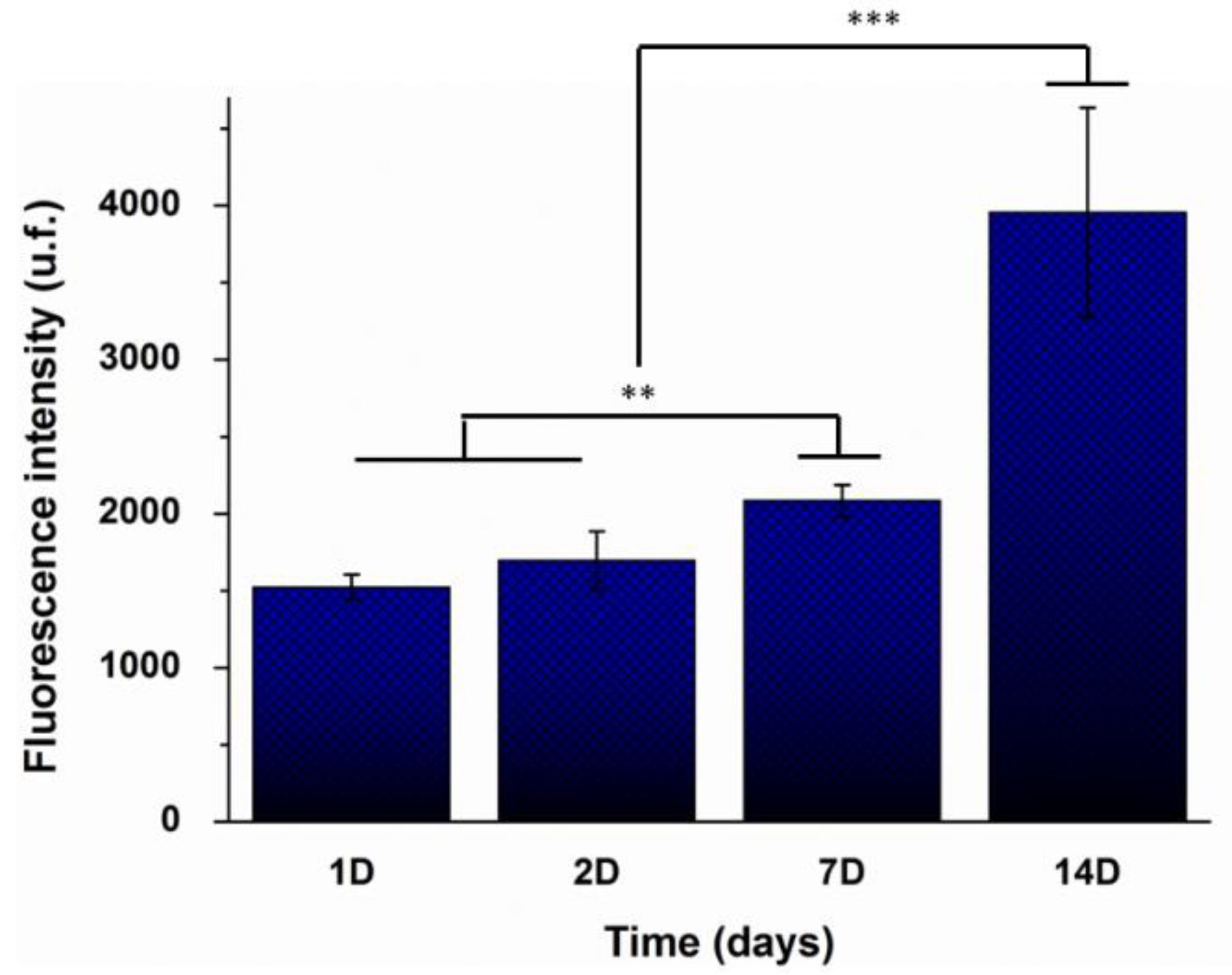 Polymers 14 00012 g007
