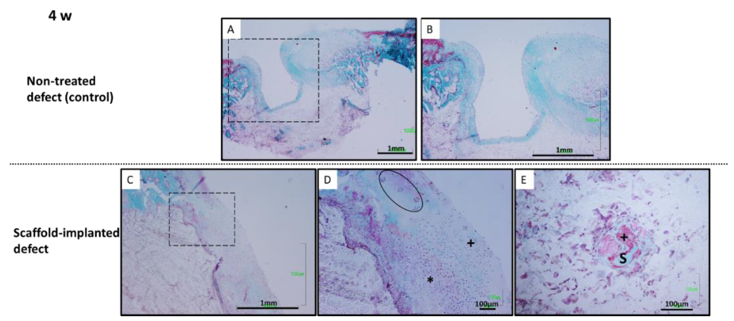 Polymers 14 00012 g010