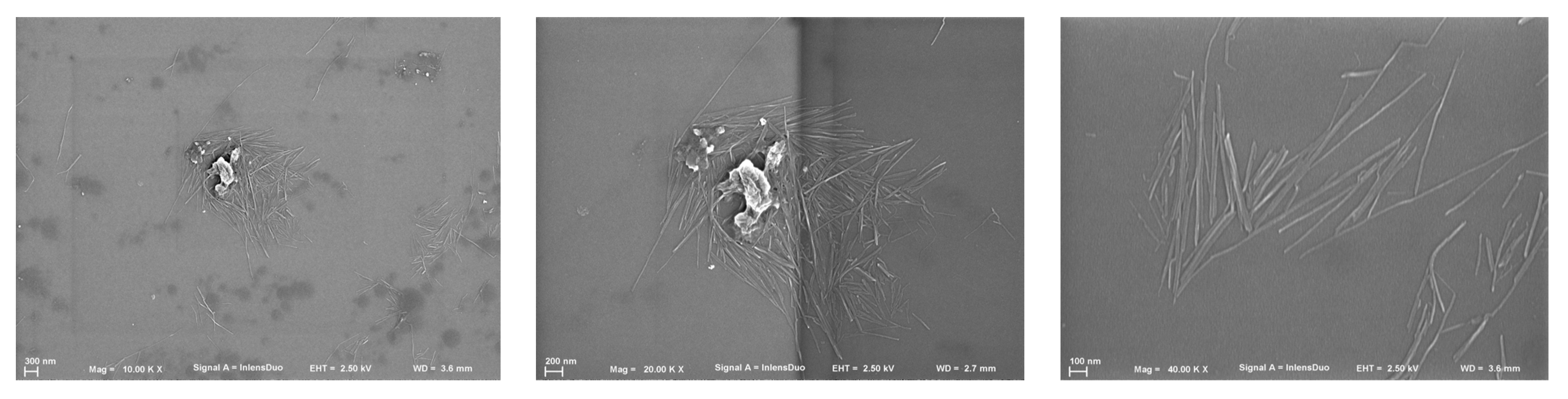 Polymers 14 00016 g003