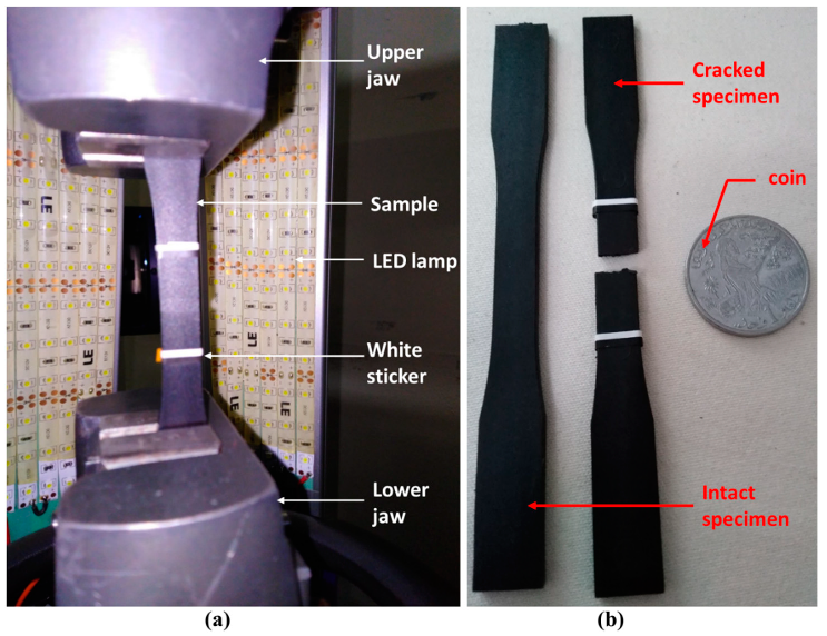 Polymers 14 00017 g003 550