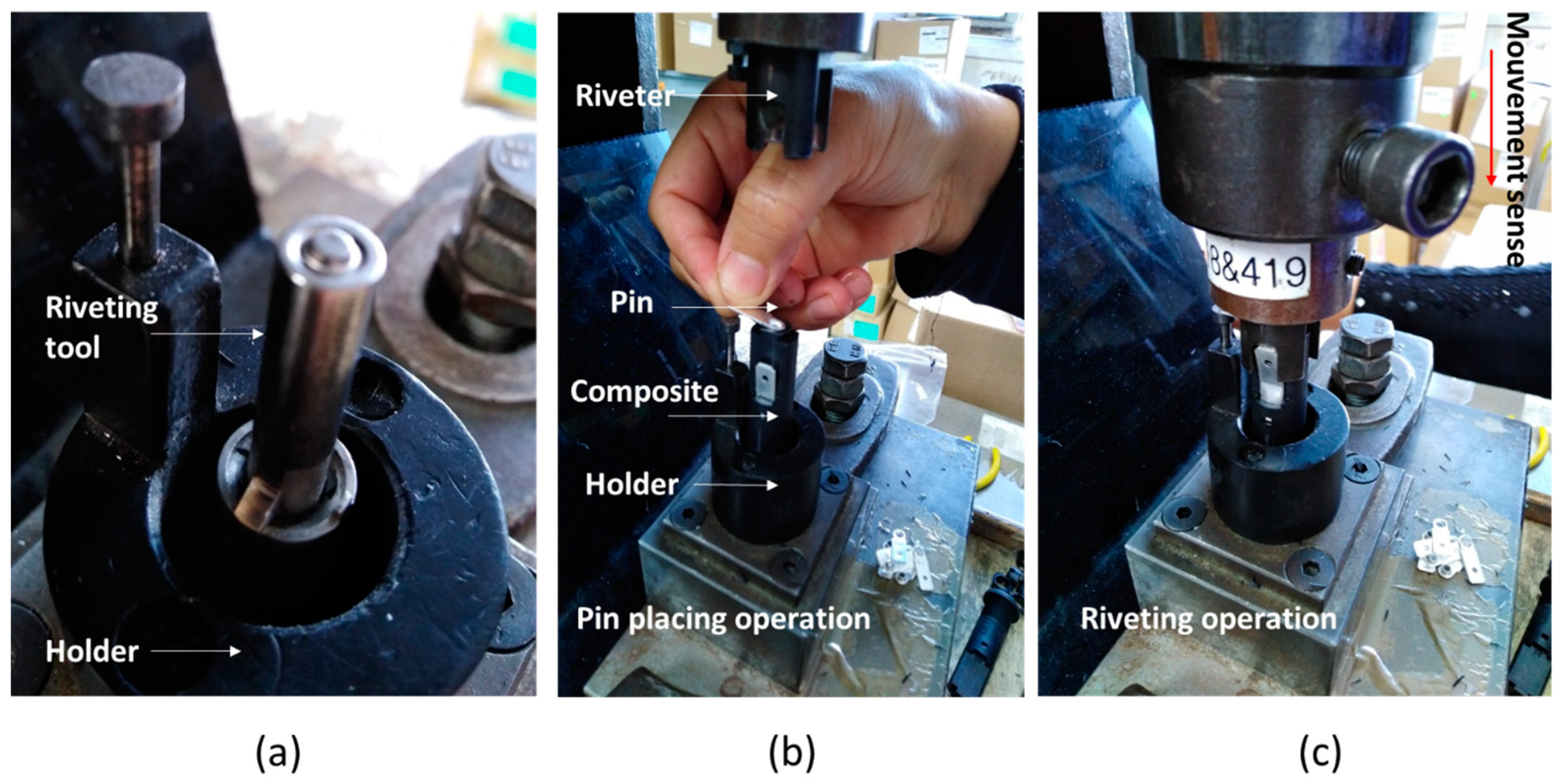Polymers 14 00017 g004 550