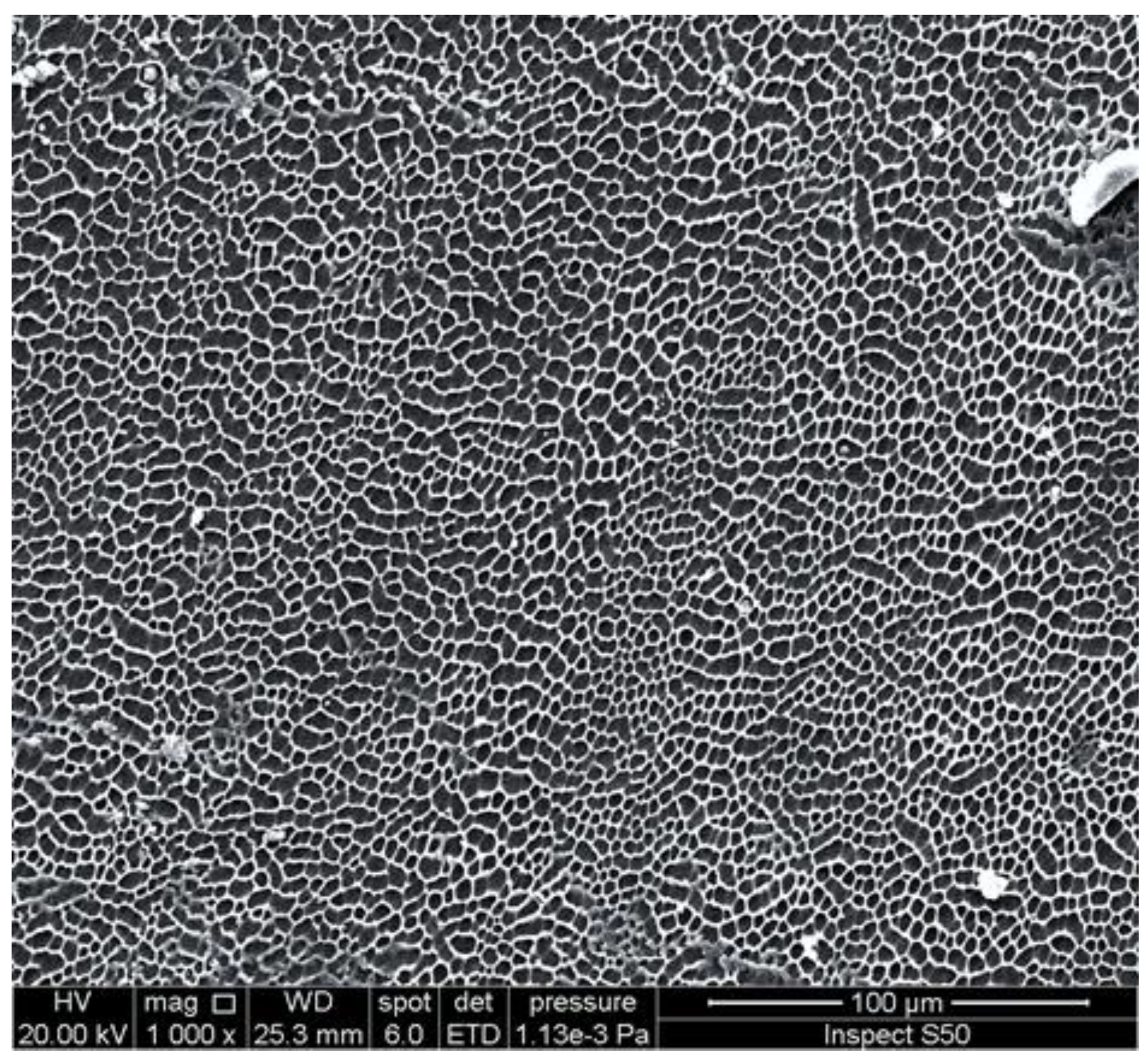 Polymers 14 00020 g007 Polymers 14 00020 g007