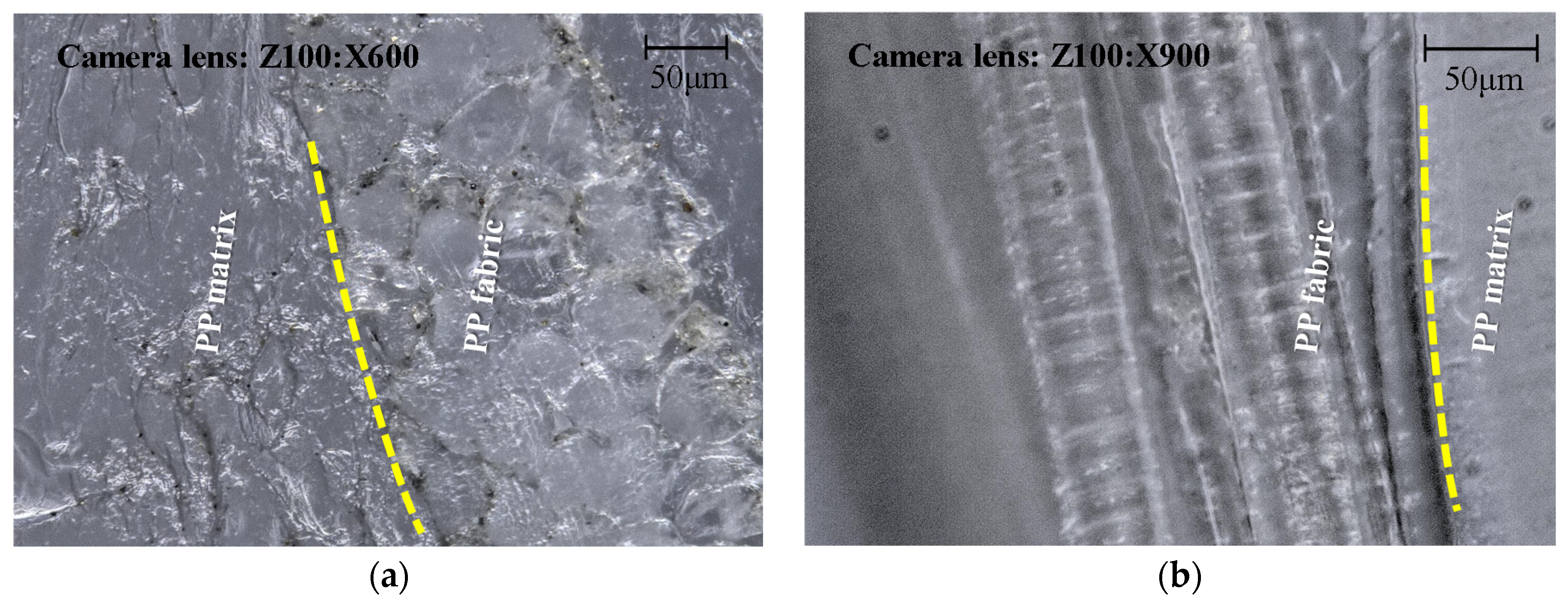 Polymers 14 00023 g010
