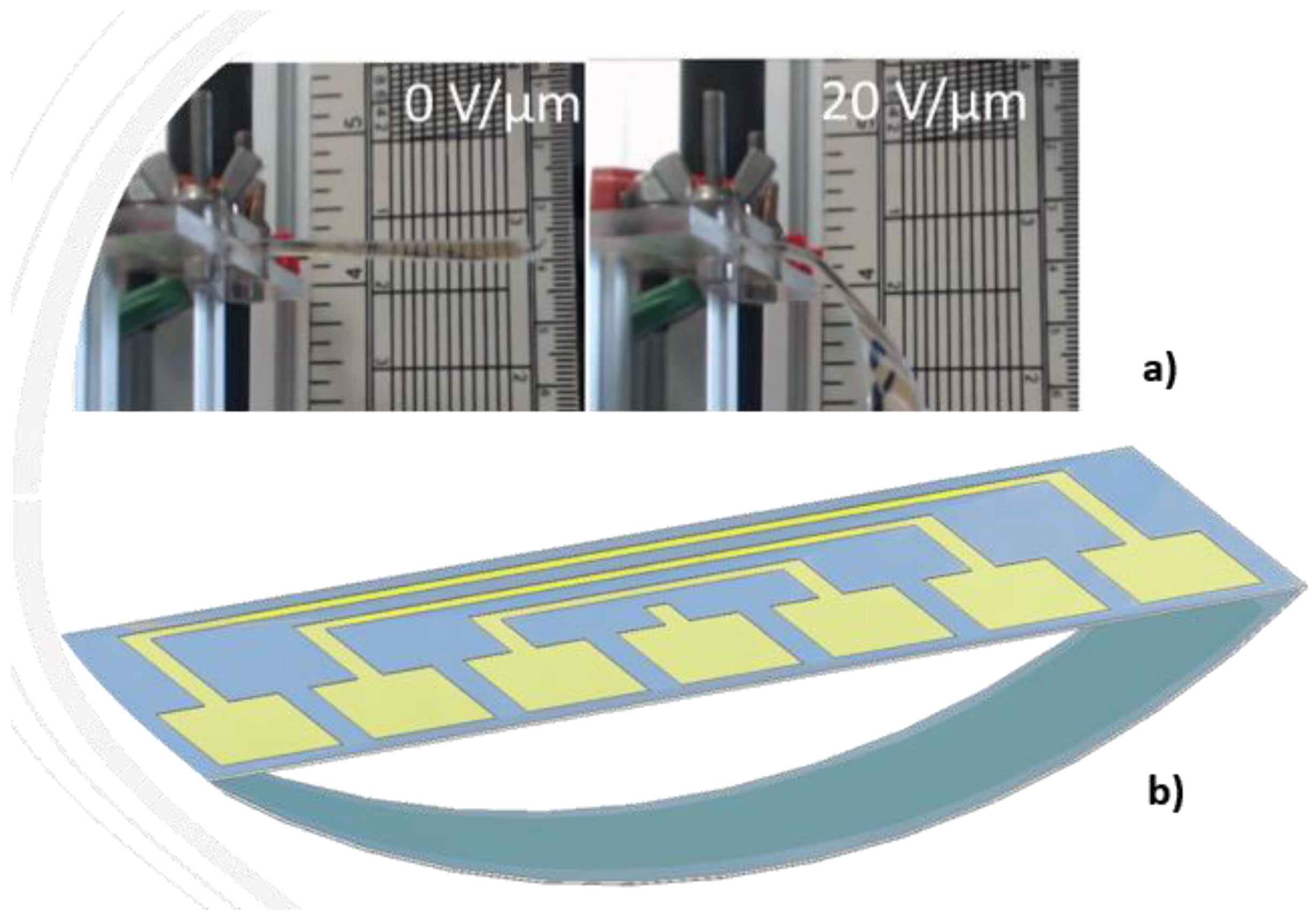 Polymers 14 00024 g010