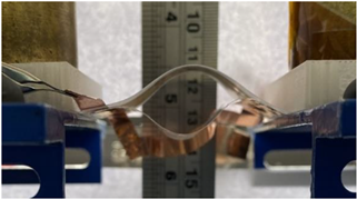 Polymers 14 00024 i009