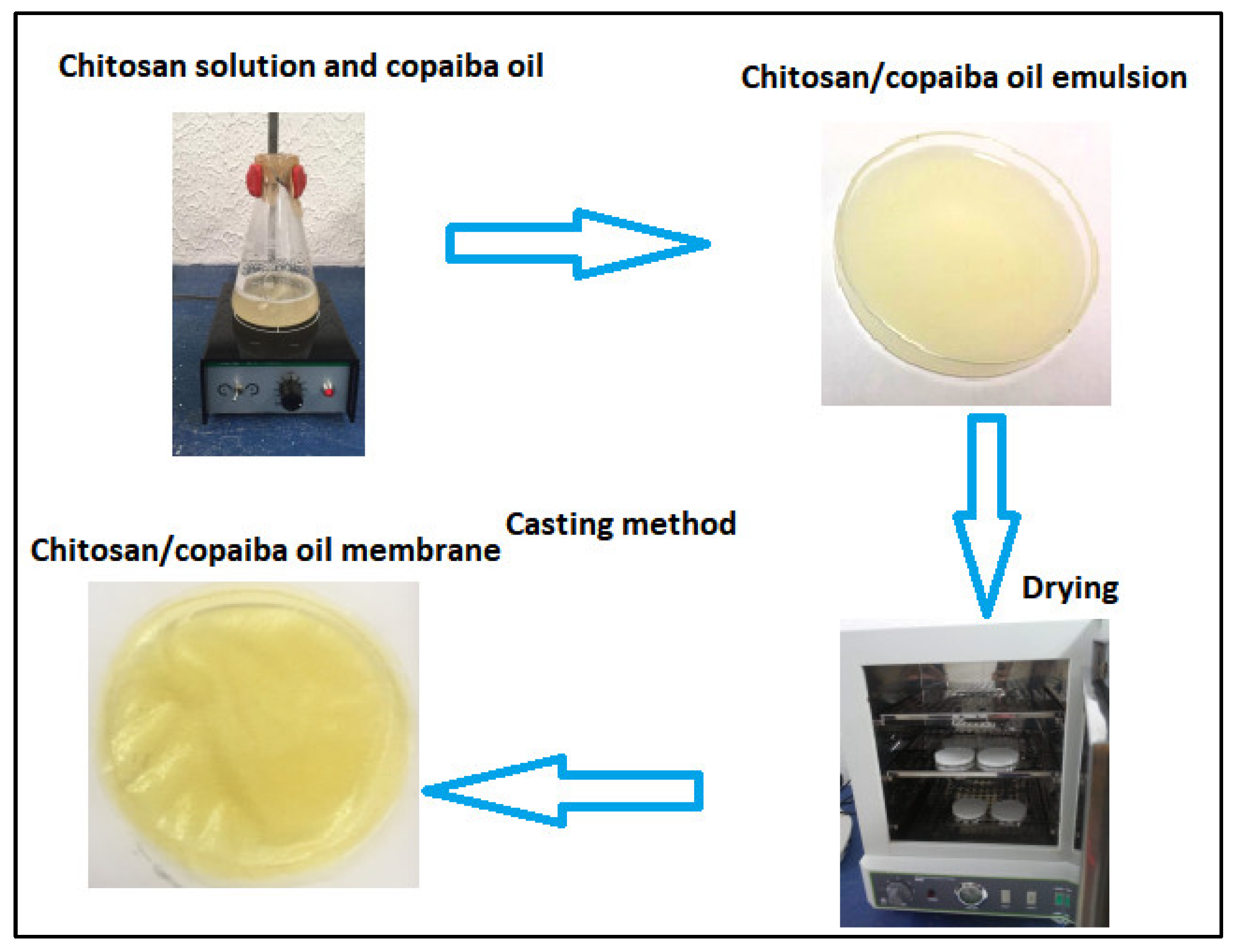 Polymers 14 00035 g001 550