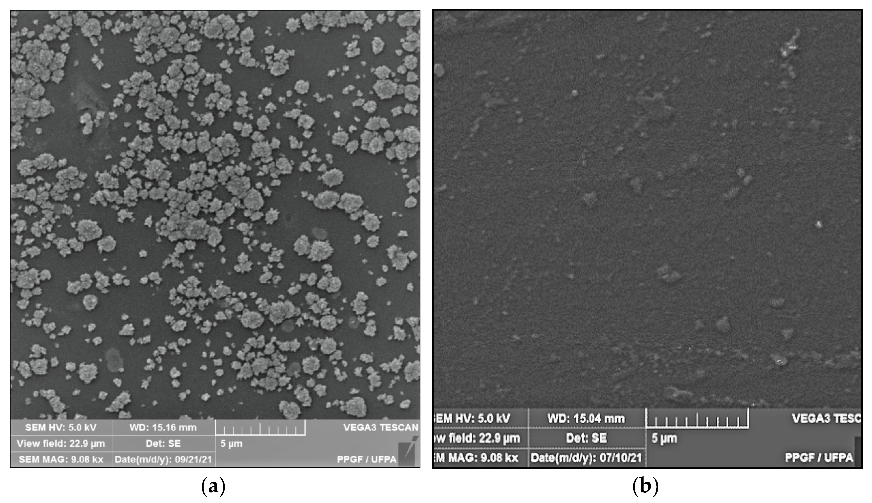 Polymers 14 00035 g002a 550