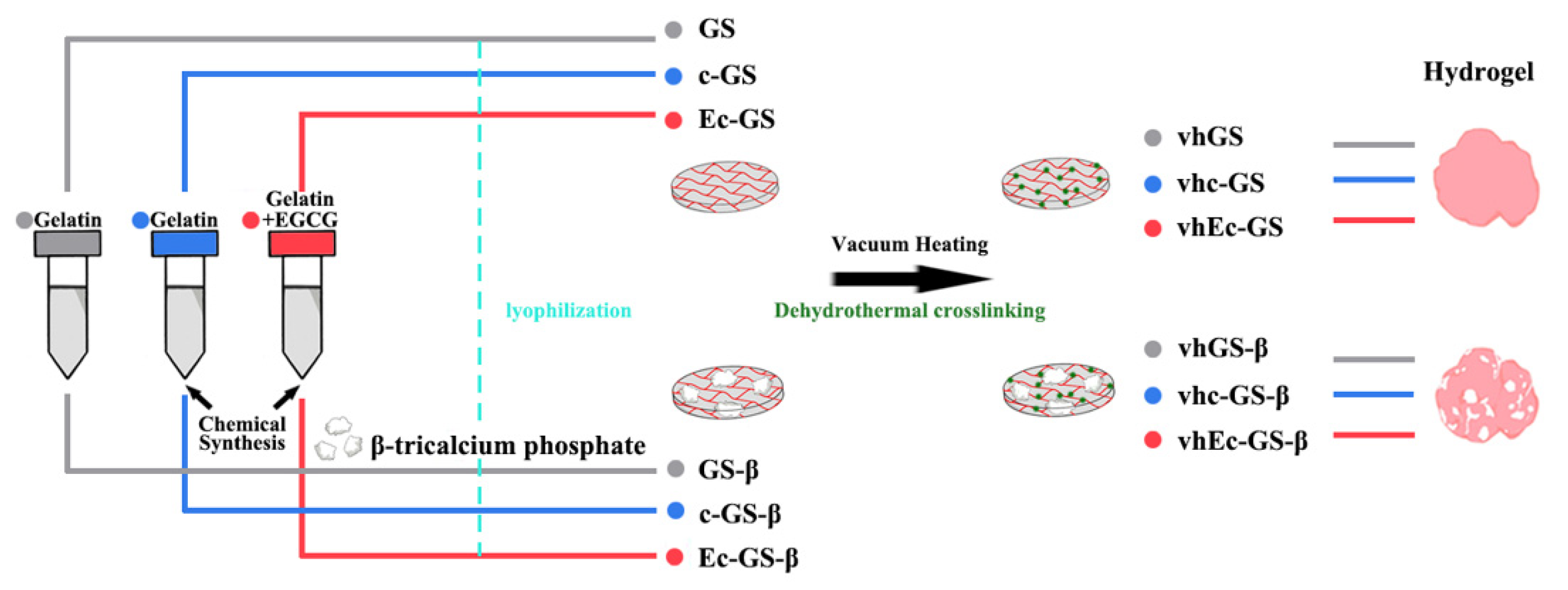 Polymers 14 00040 g001