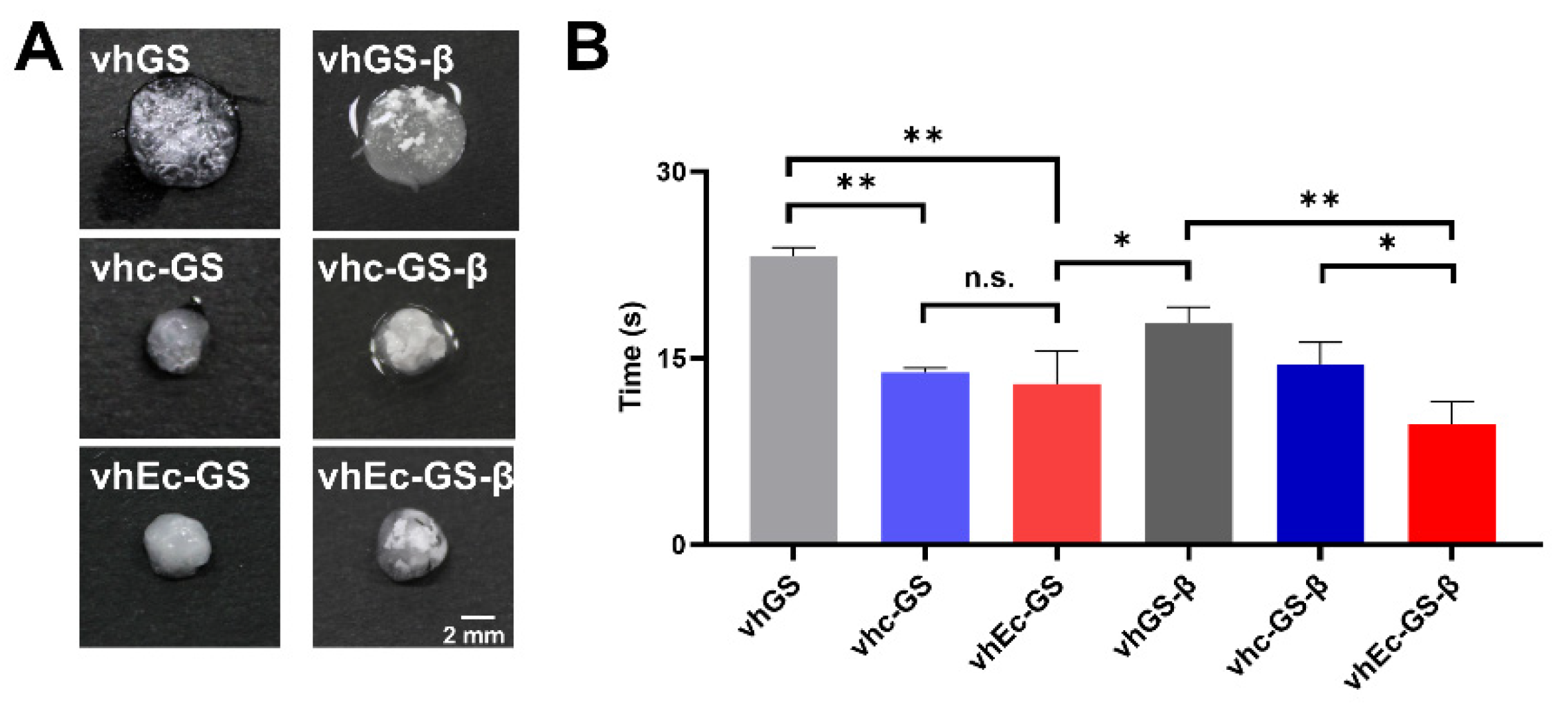 Polymers 14 00040 g004