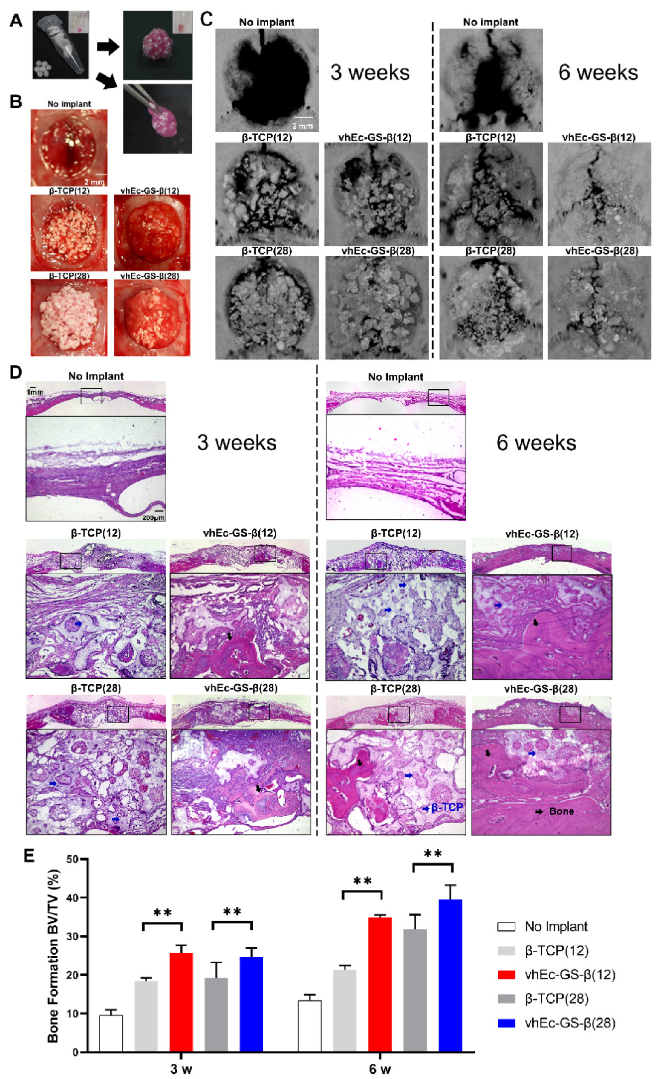 Polymers 14 00040 g006