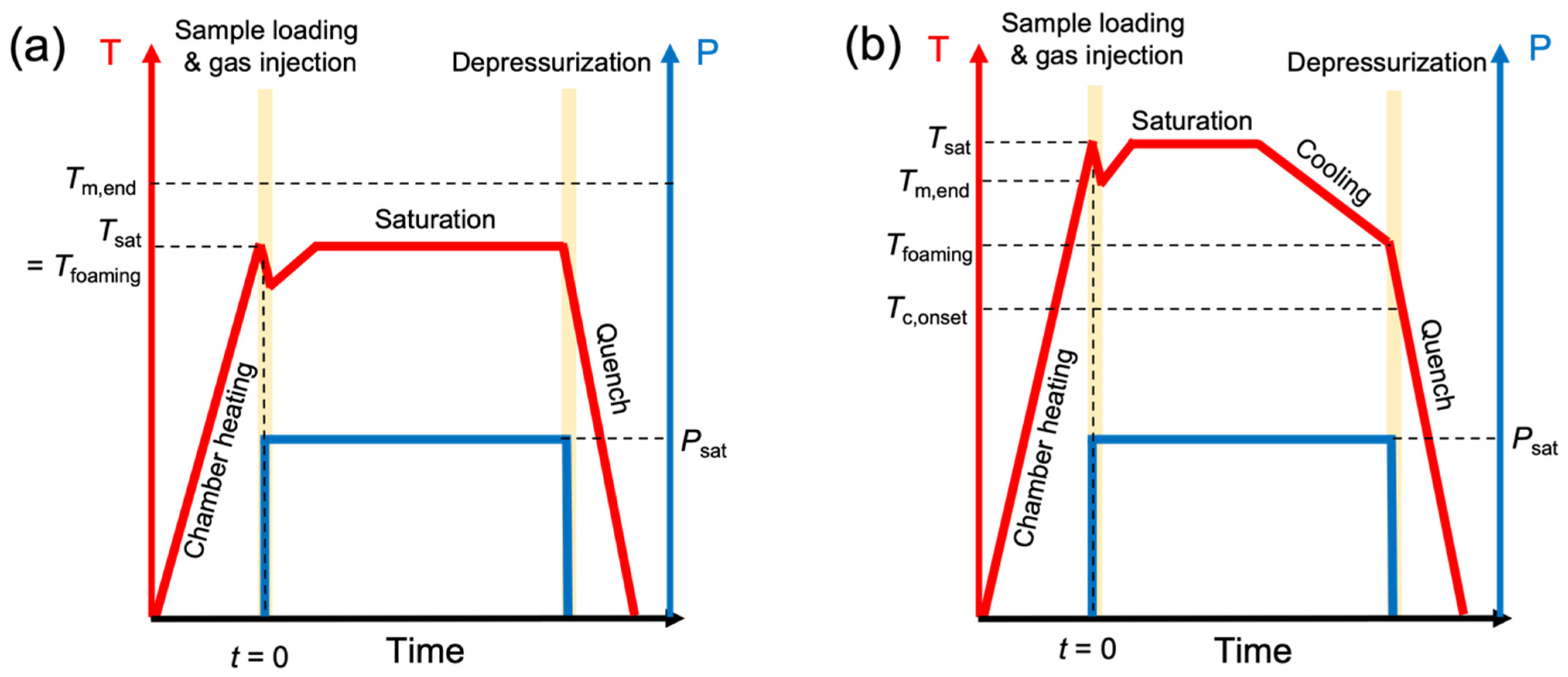 Polymers 14 00044 g003