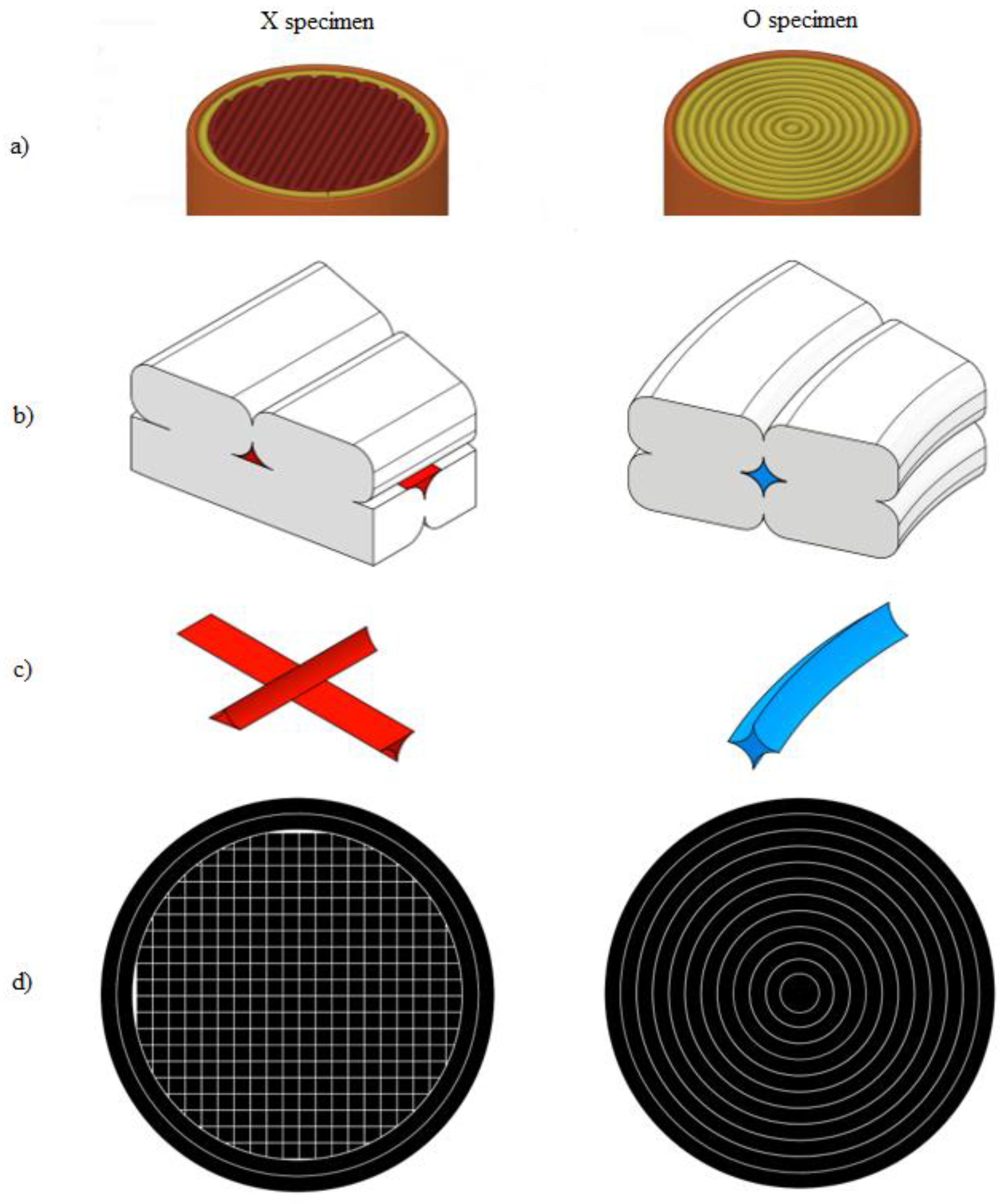 Polymers 14 00055 g006