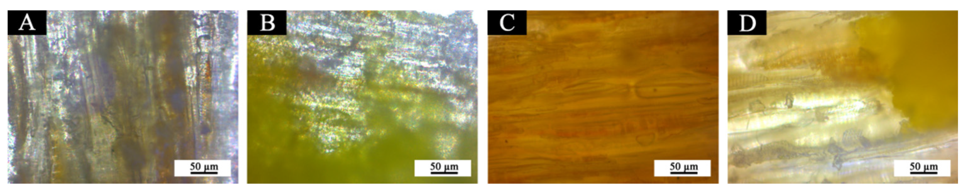 Polymers 14 00056 g012 550