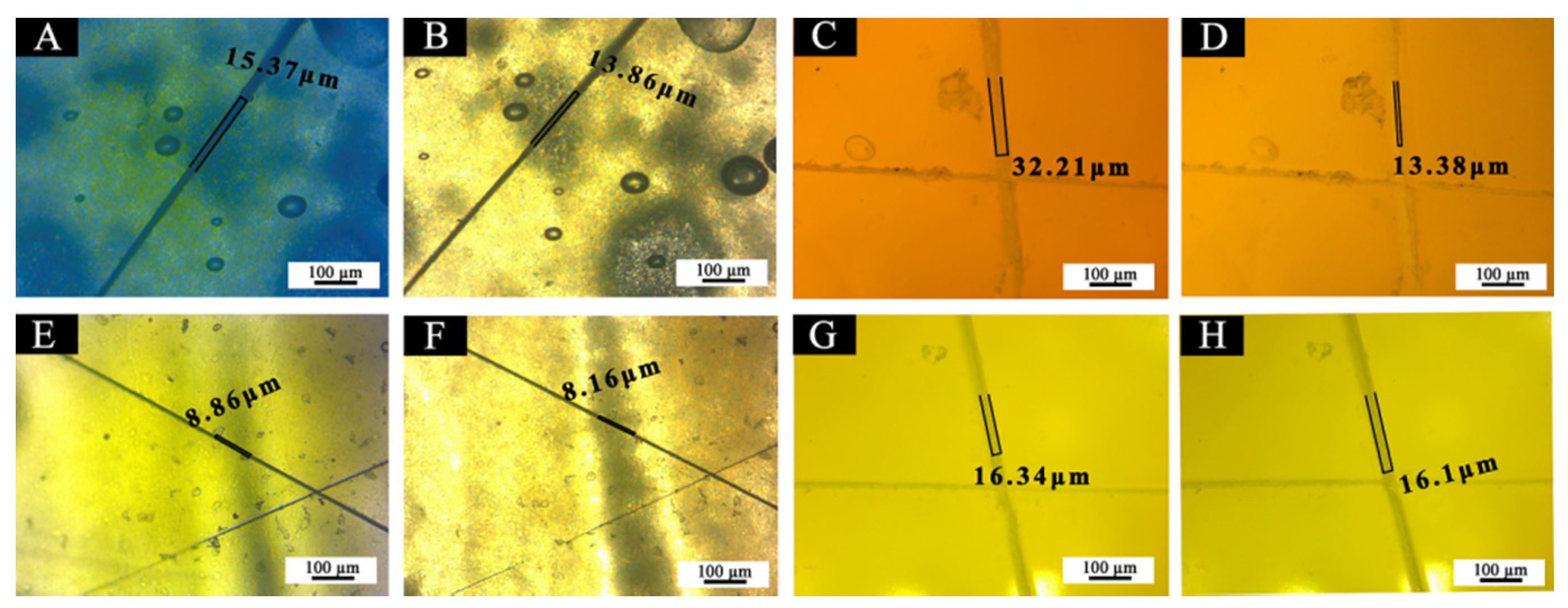 Polymers 14 00056 g021 550