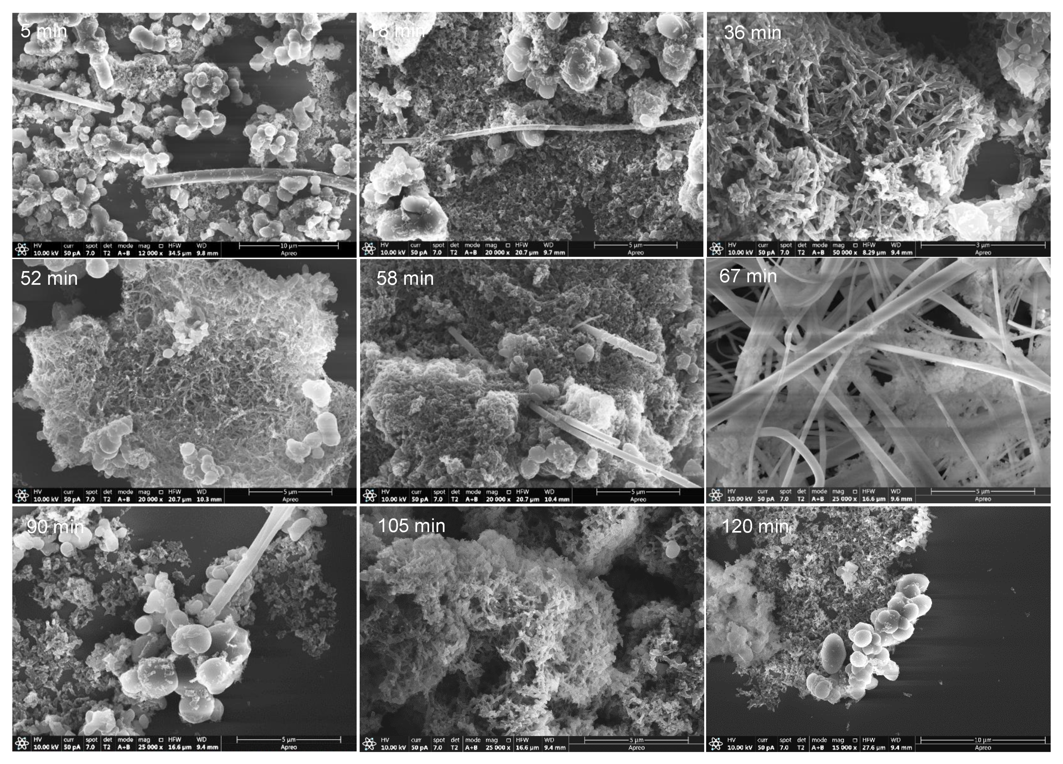 Polymers 14 00057 g010 550