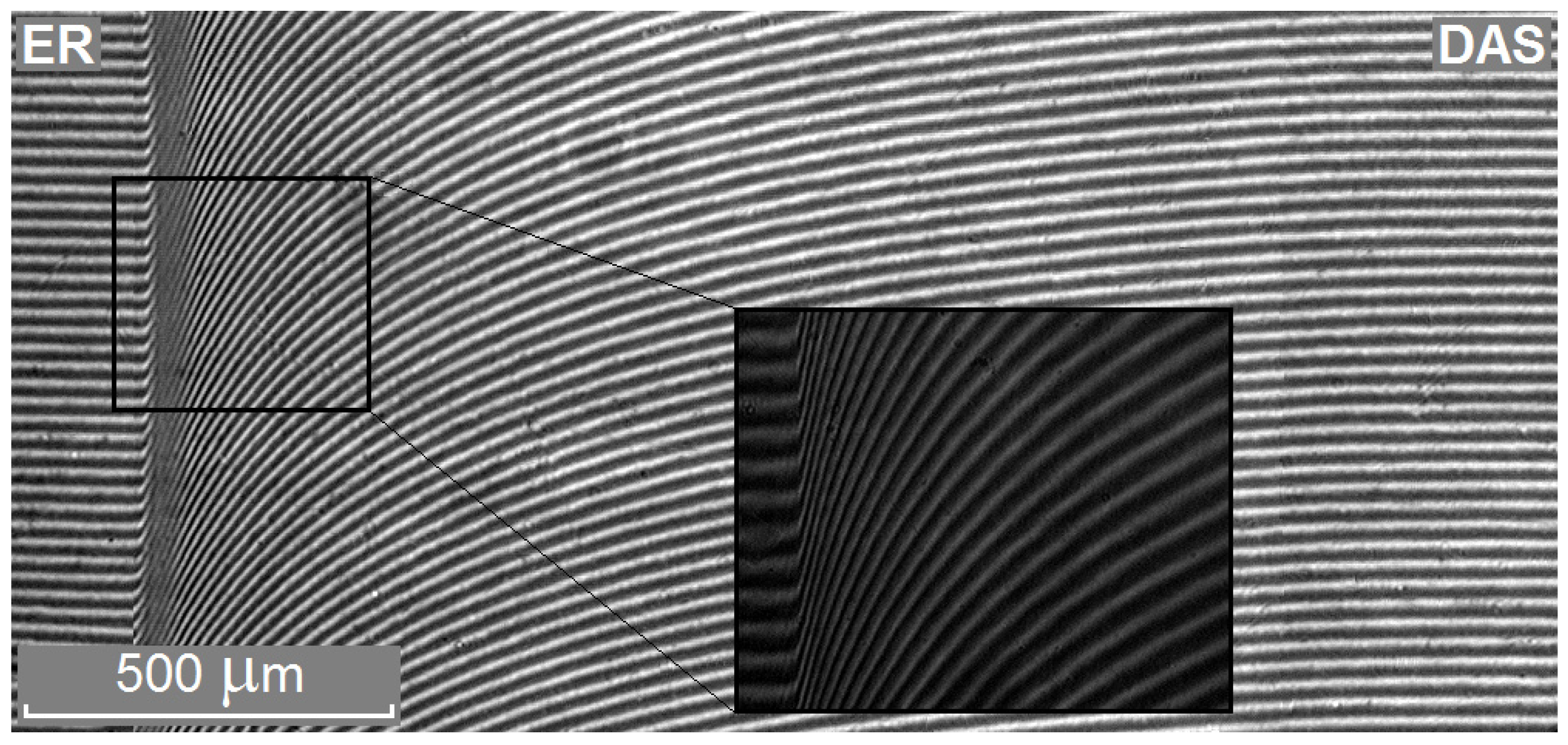 Polymers 14 00059 g001