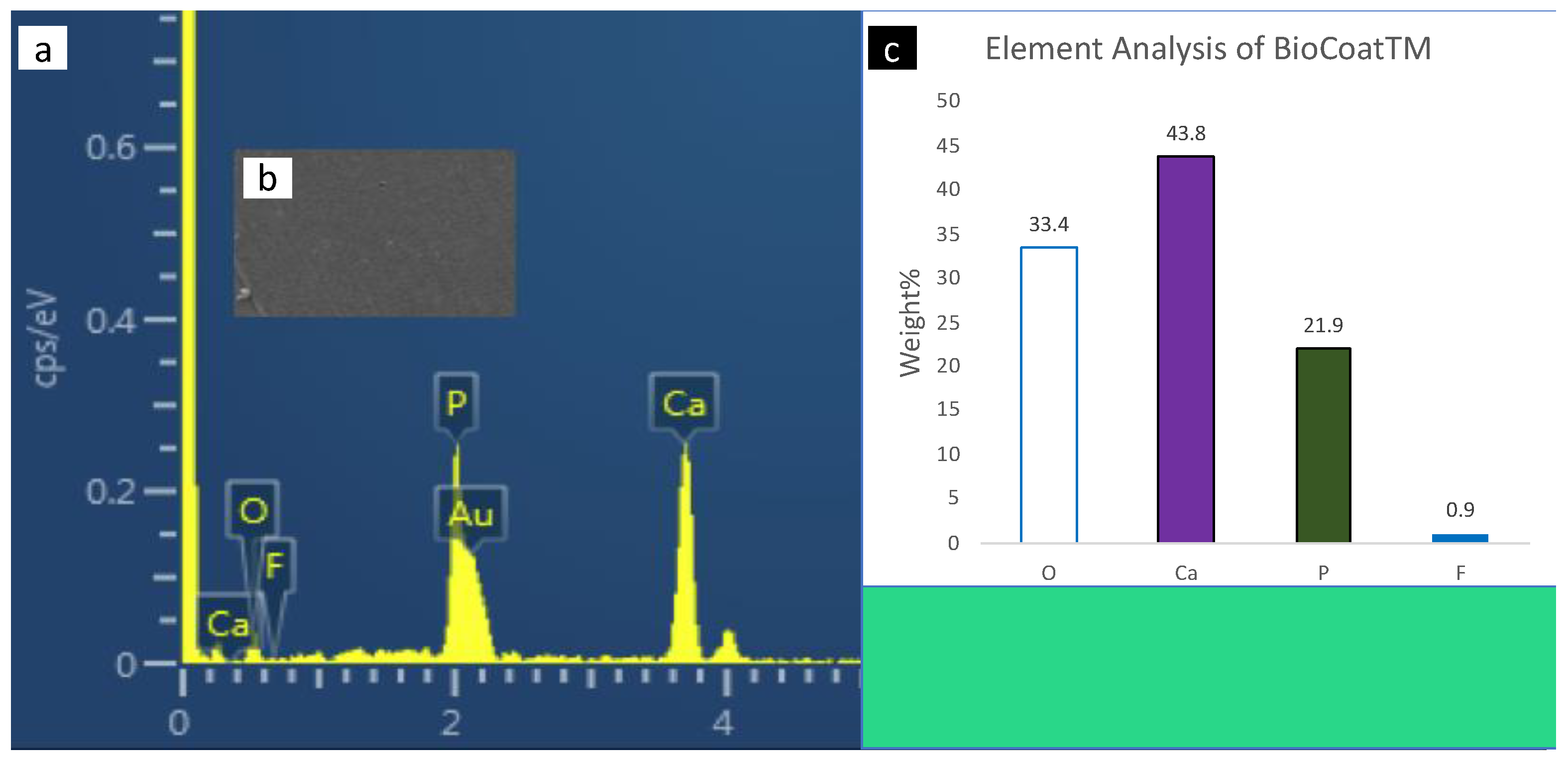 Polymers 14 00061 g006