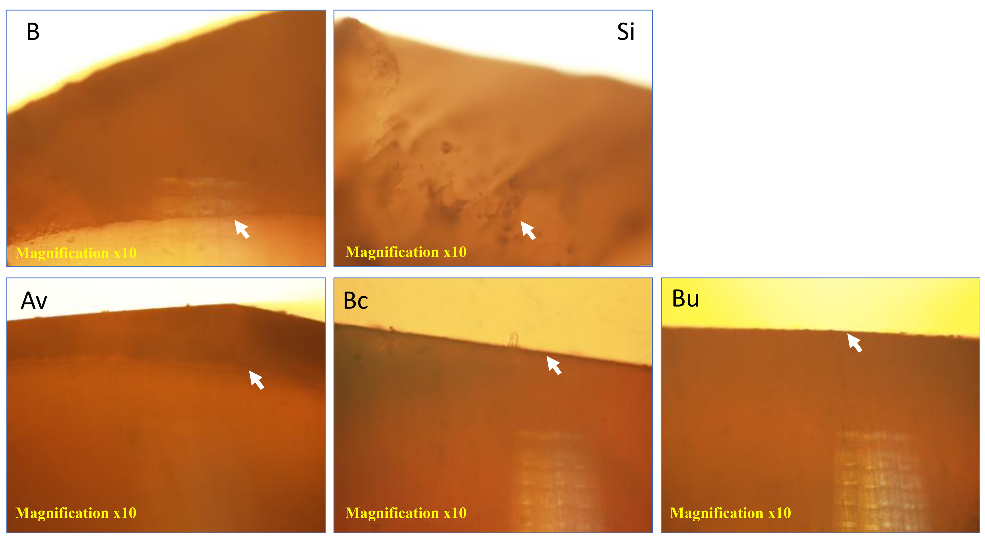Polymers 14 00061 g009