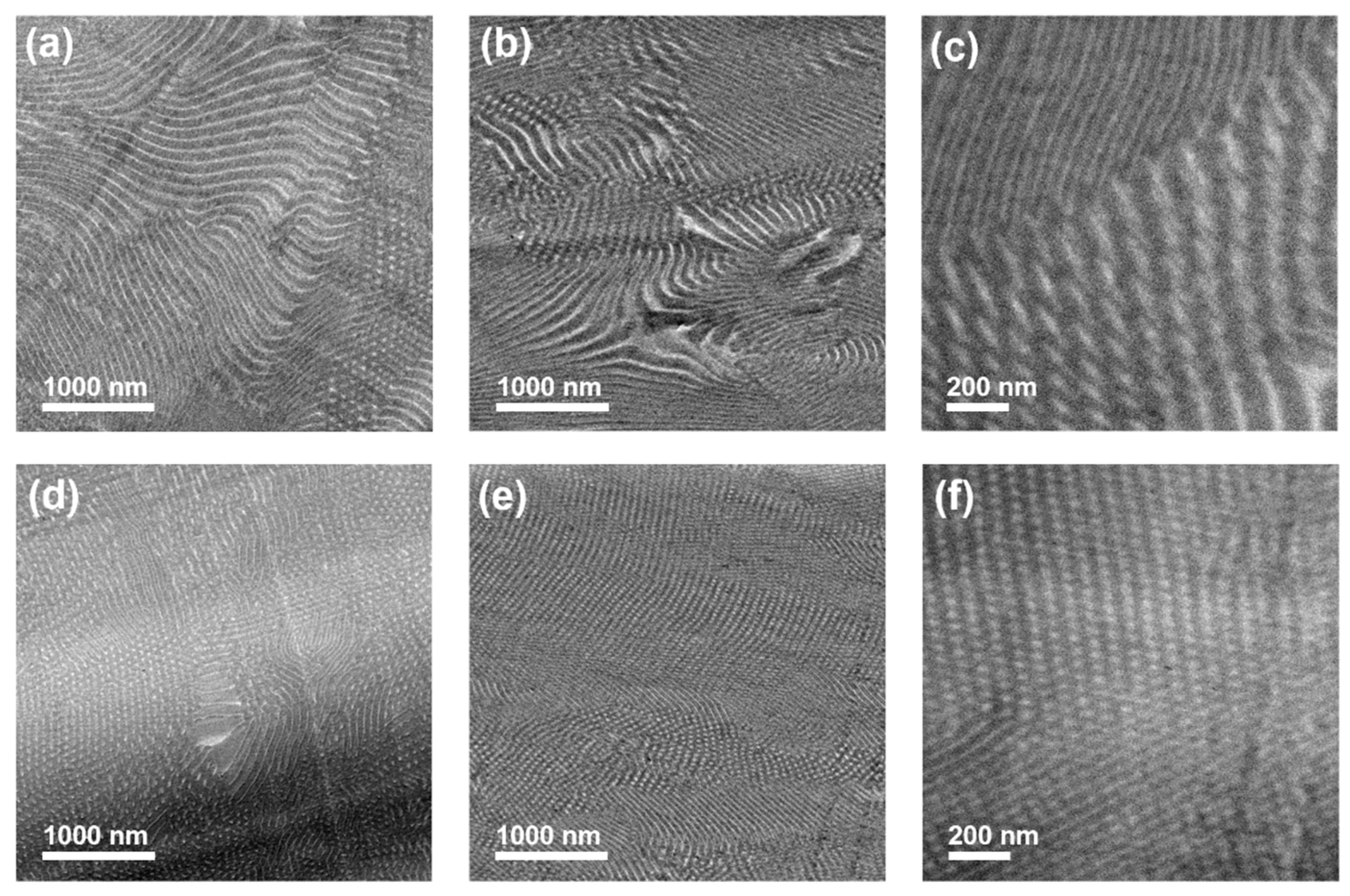 Polymers 14 00062 g006 Polymers 14 00062 g006