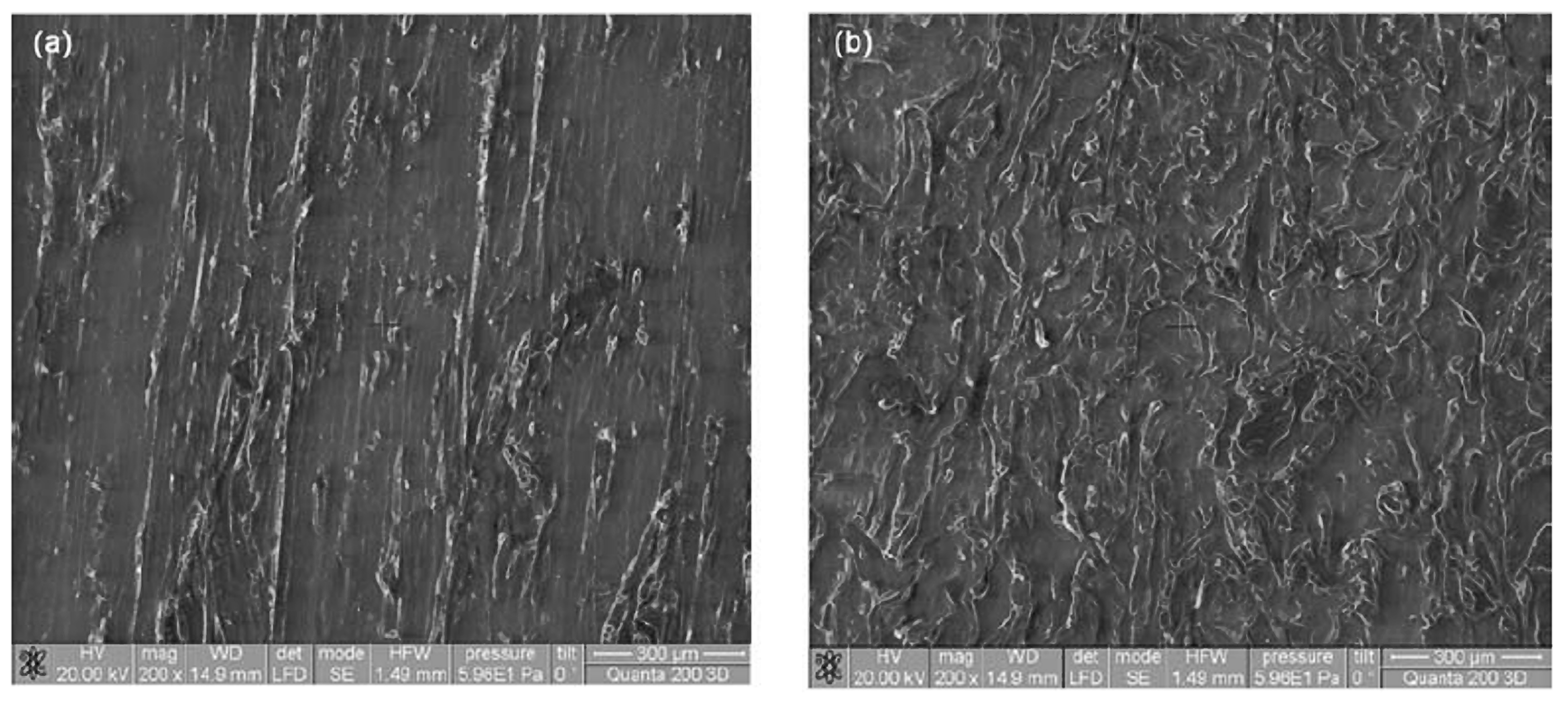 Polymers 14 00064 g001