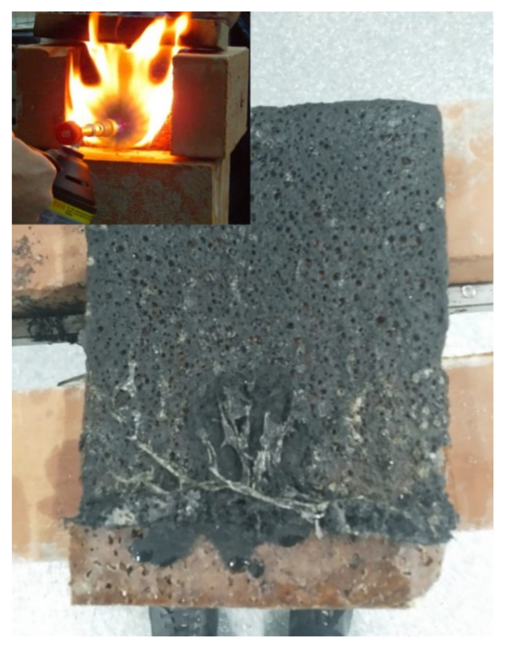 Polymers 14 00064 g003