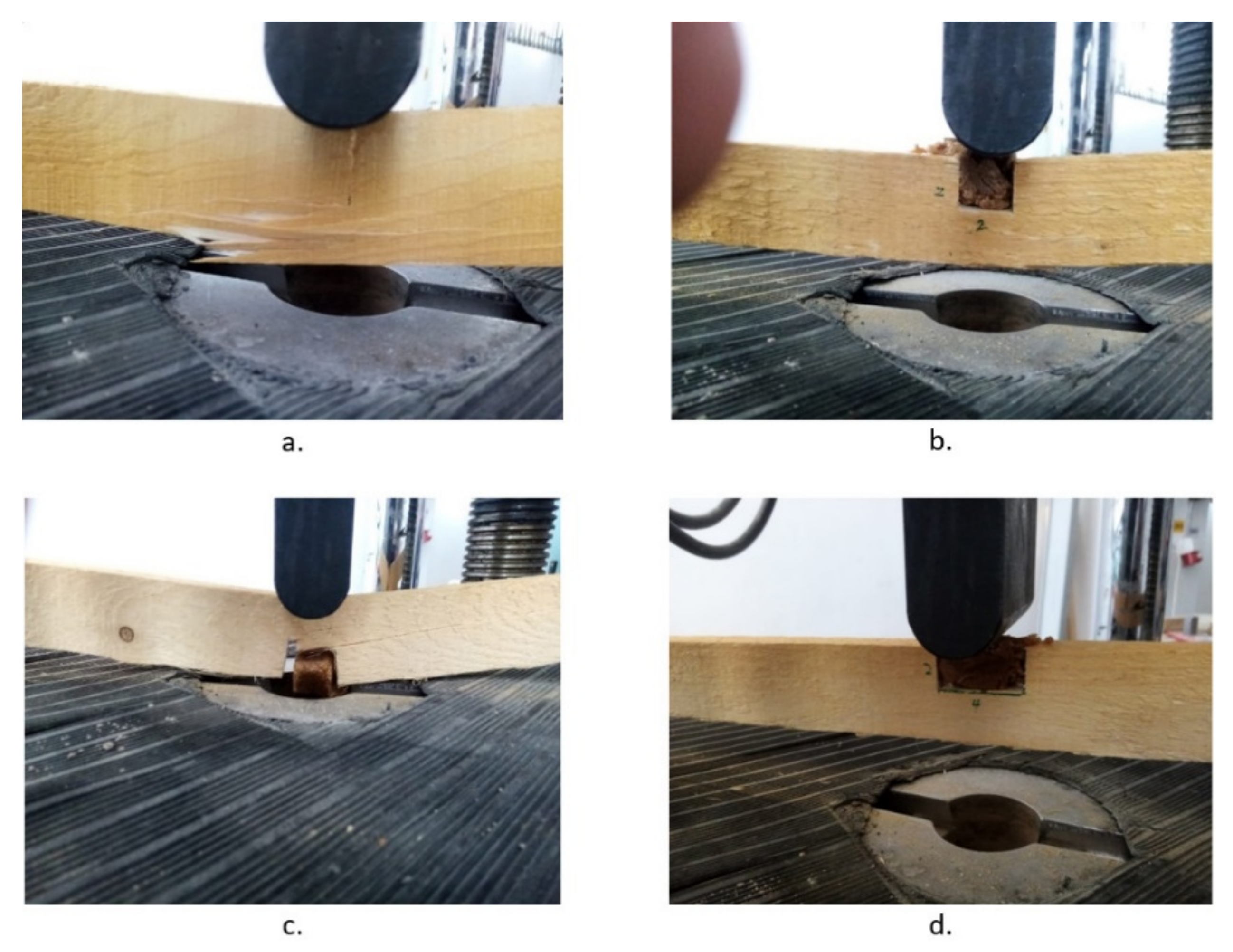 Polymers 14 00064 g006