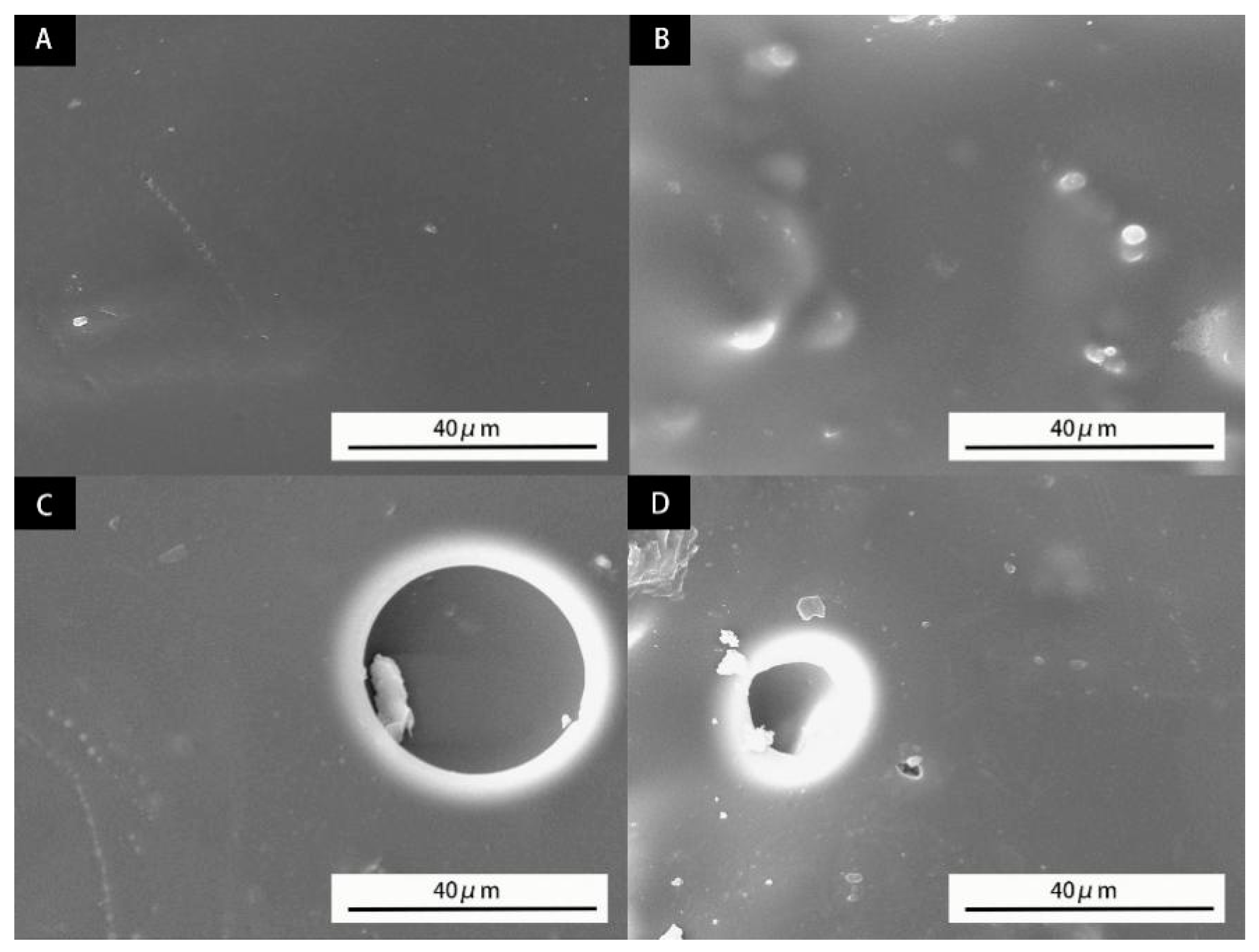 Polymers 14 00072 g011 550