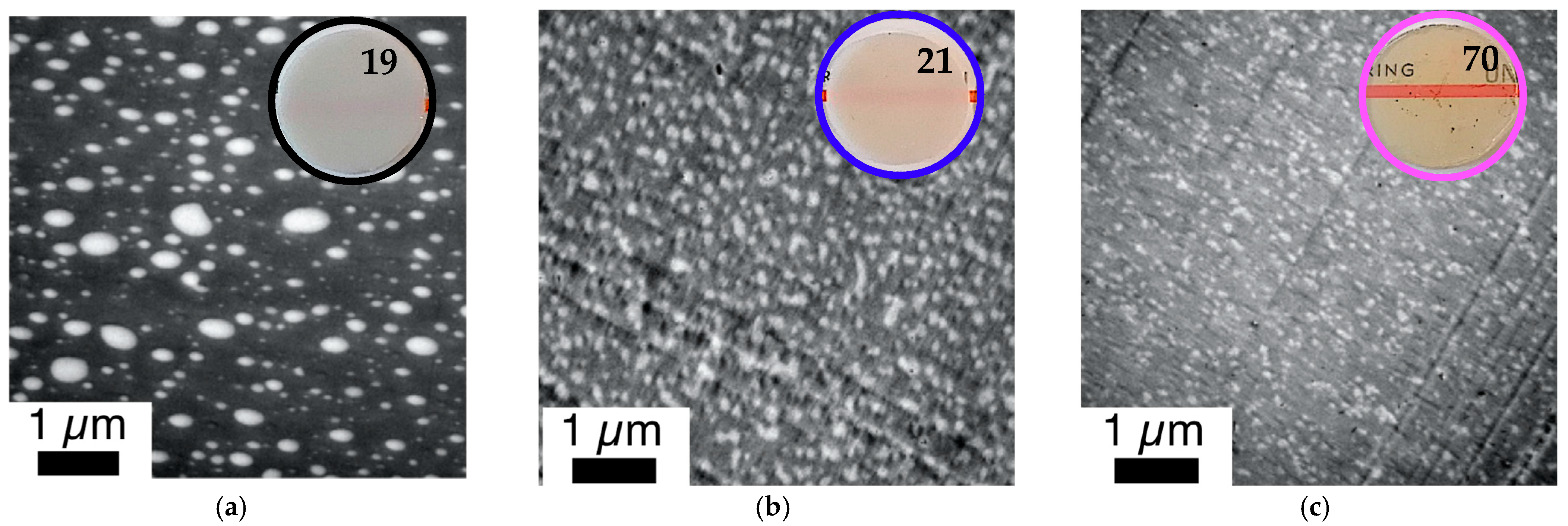 Polymers 14 00073 g011 550