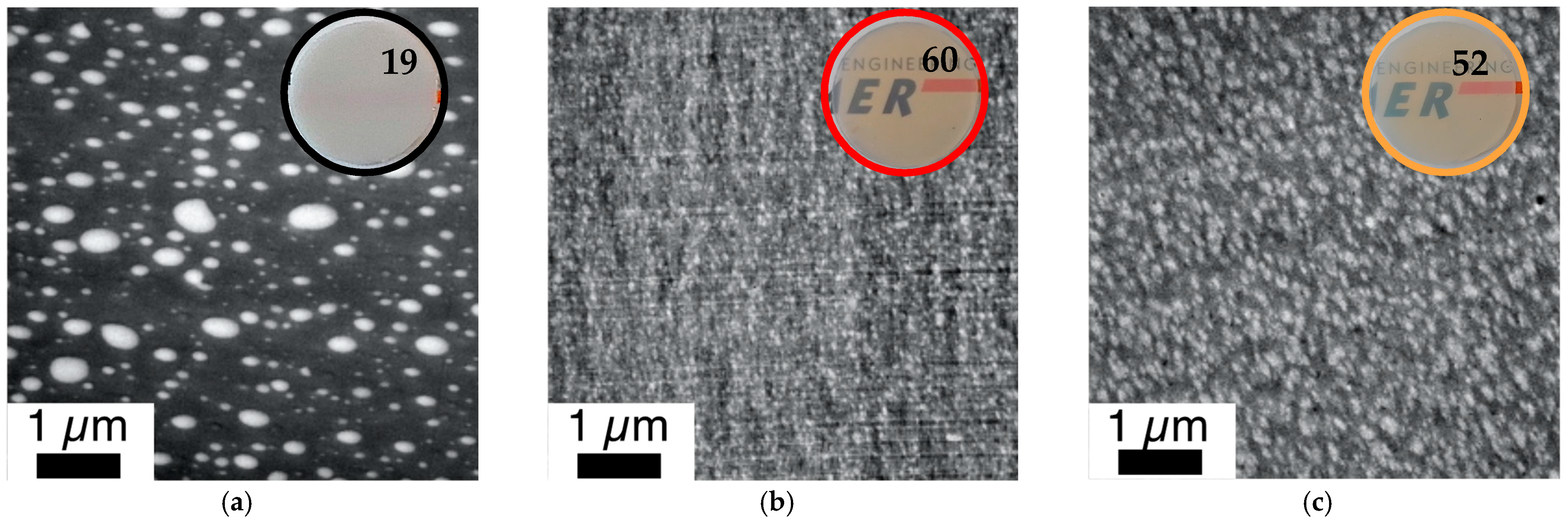 Polymers 14 00073 g012 550