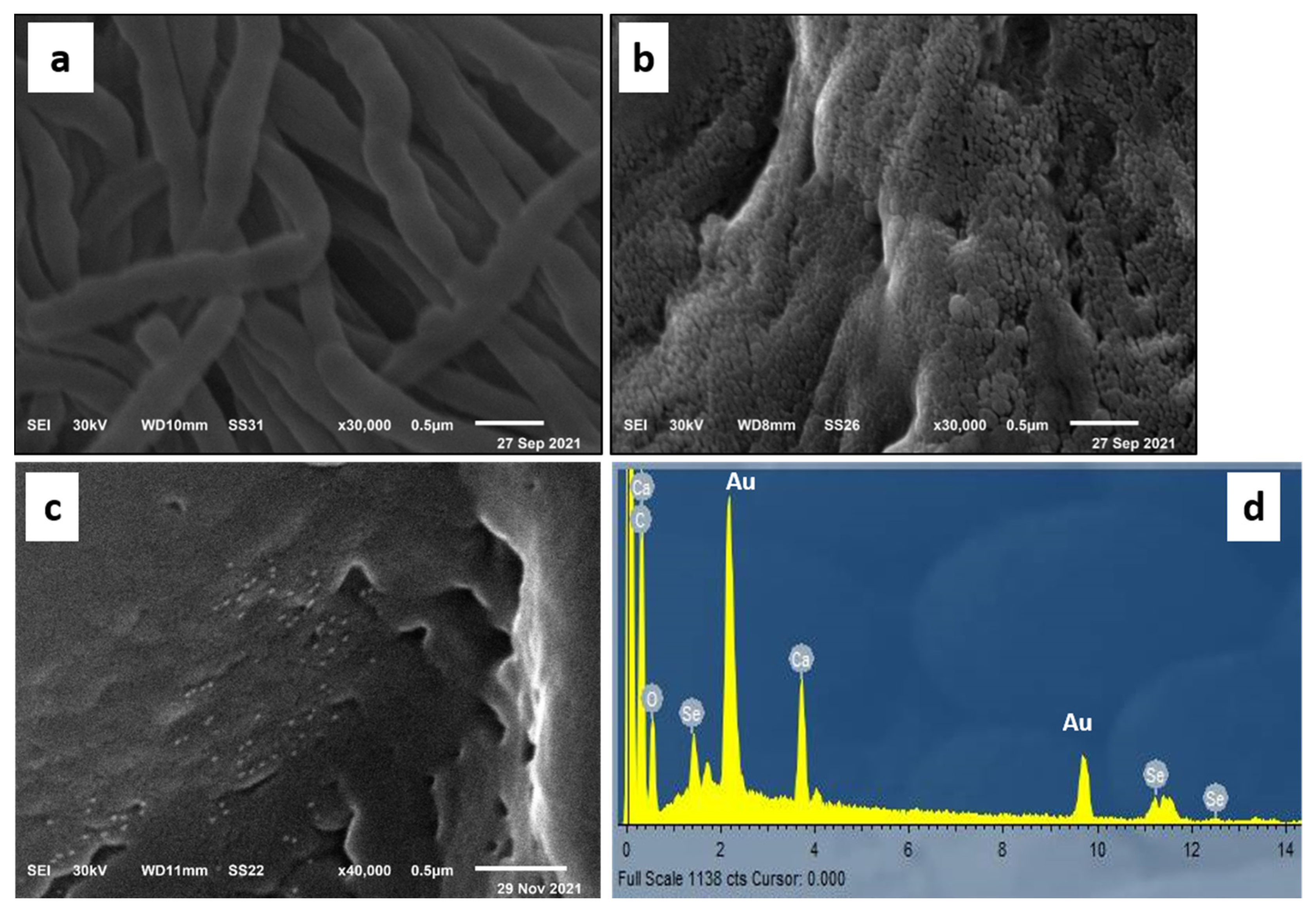 Polymers 14 00074 g002