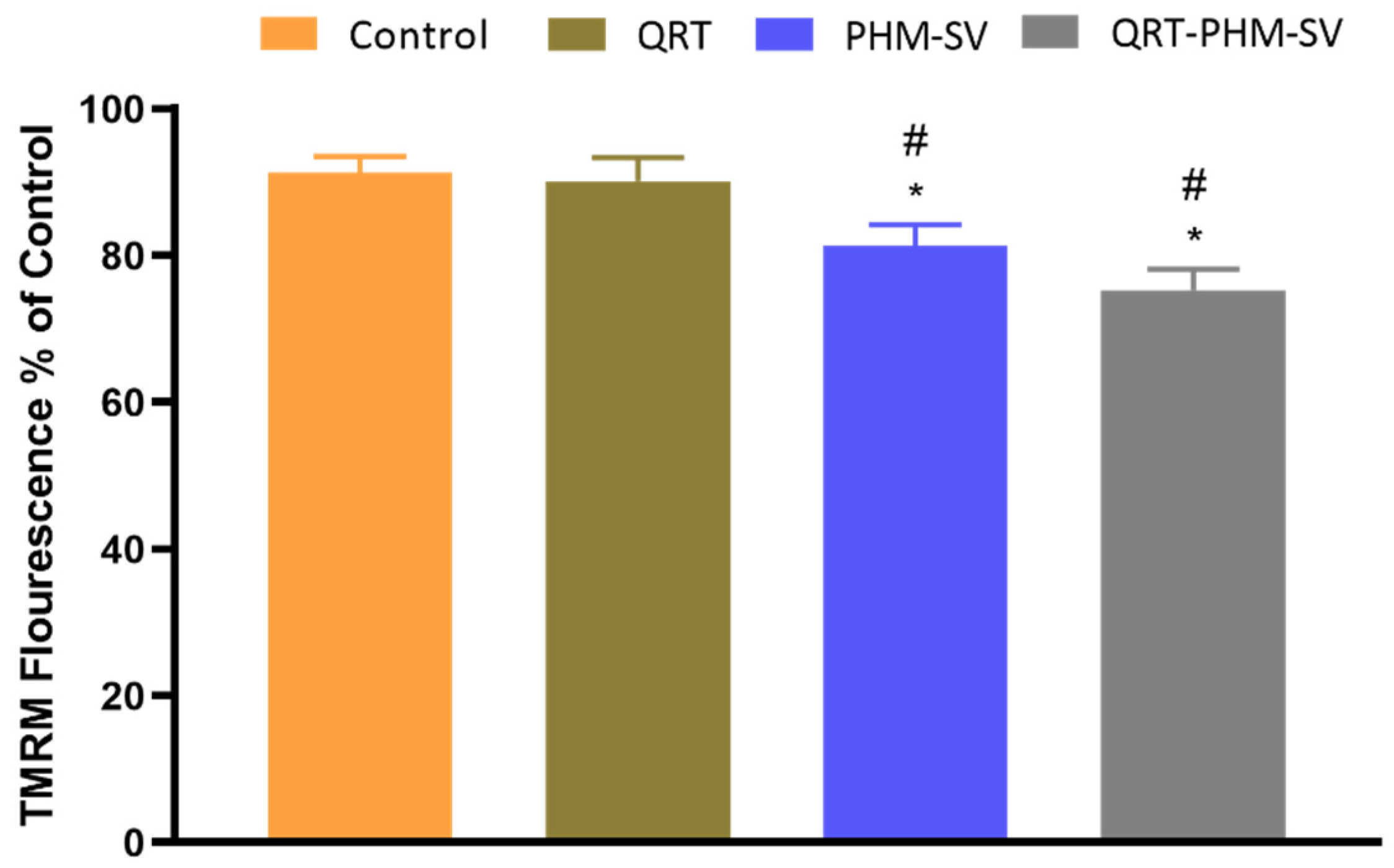 Polymers 14 00093 g009