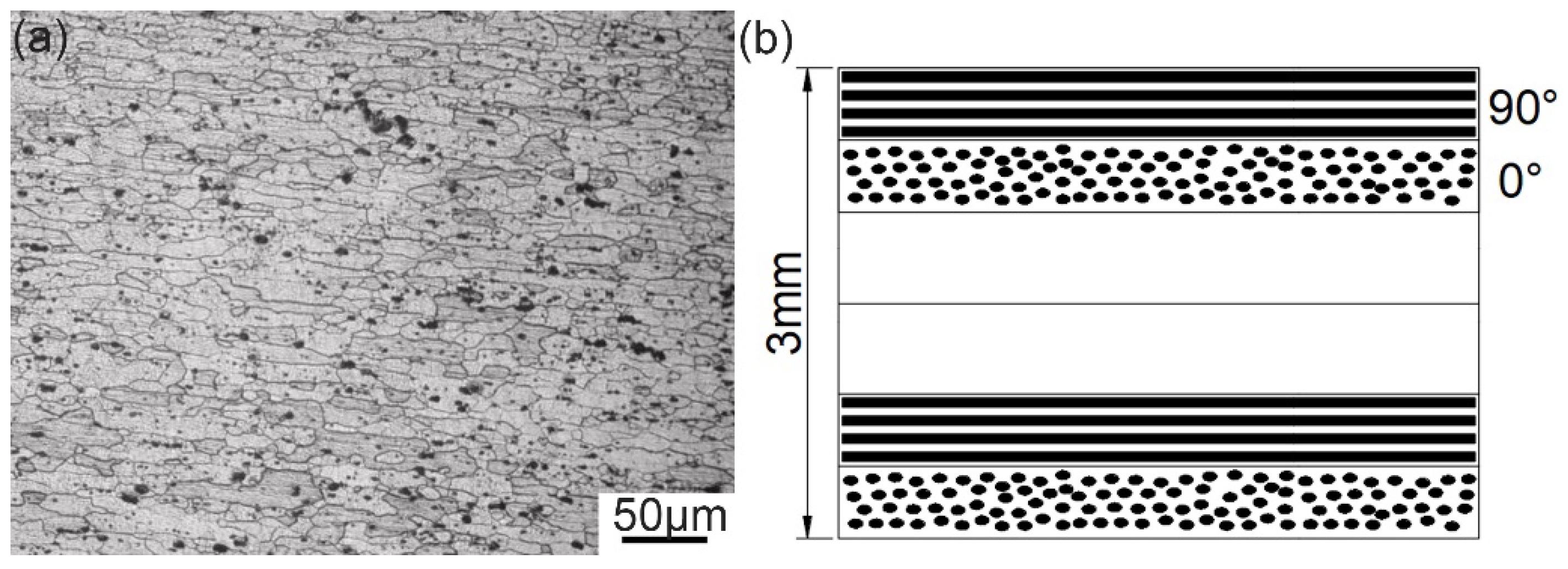 Polymers 14 00099 g001 550