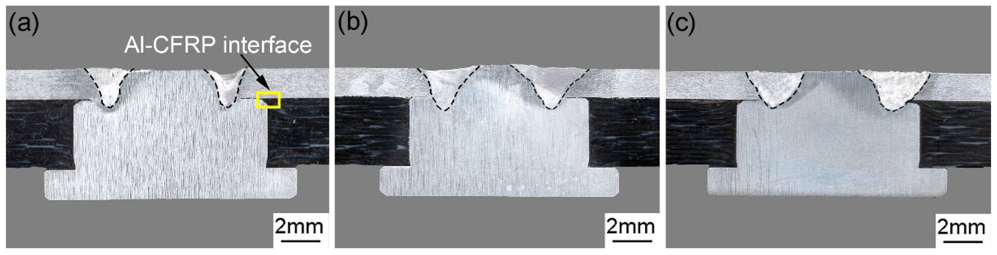 Polymers 14 00099 g006 550