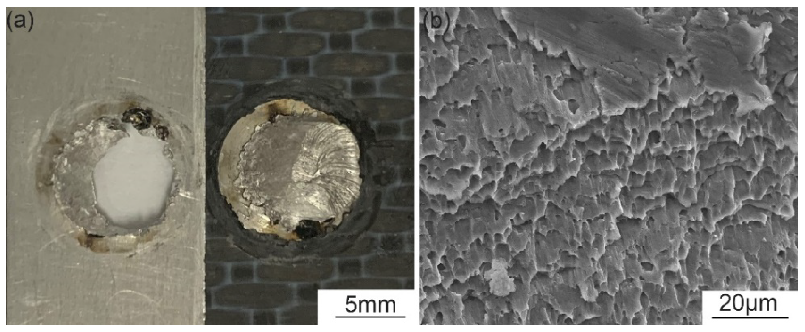 Polymers 14 00099 g009 550