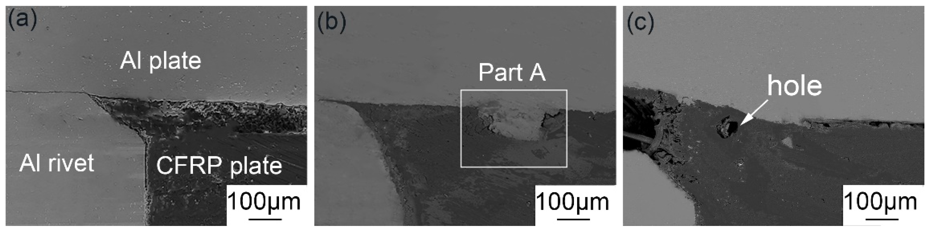 Polymers 14 00099 g011 550
