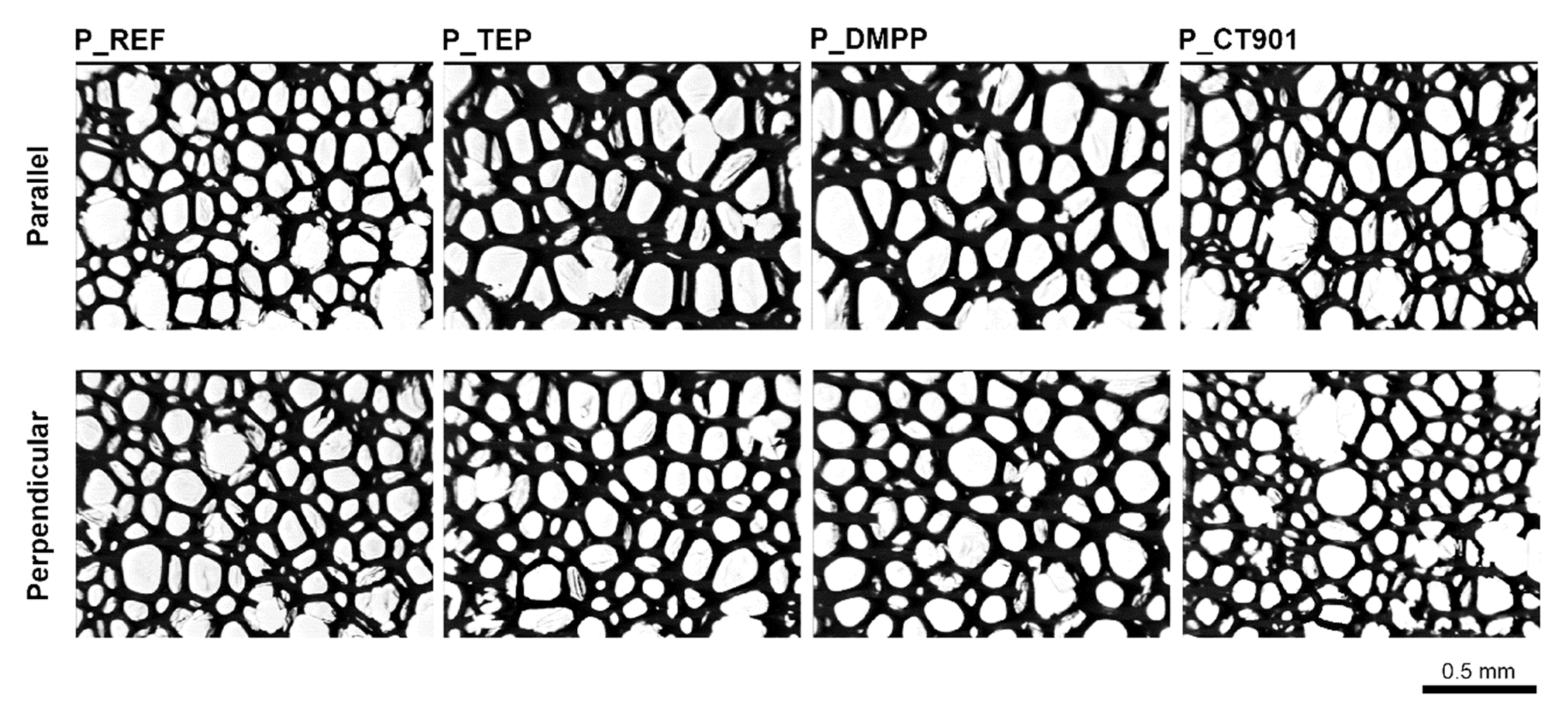 Polymers 14 00102 g004