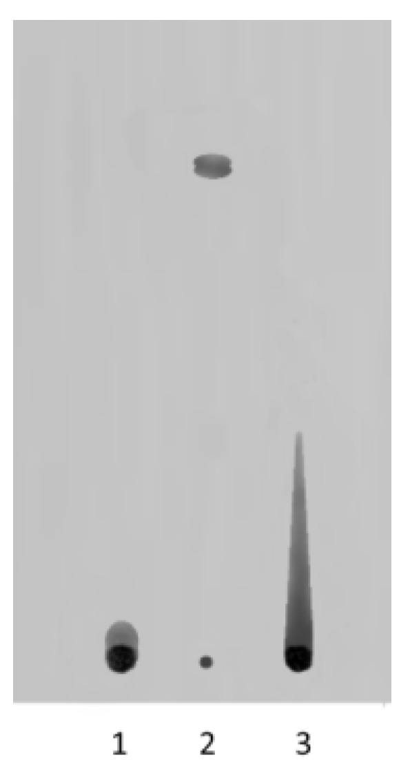 Polymers 14 00105 g005 550