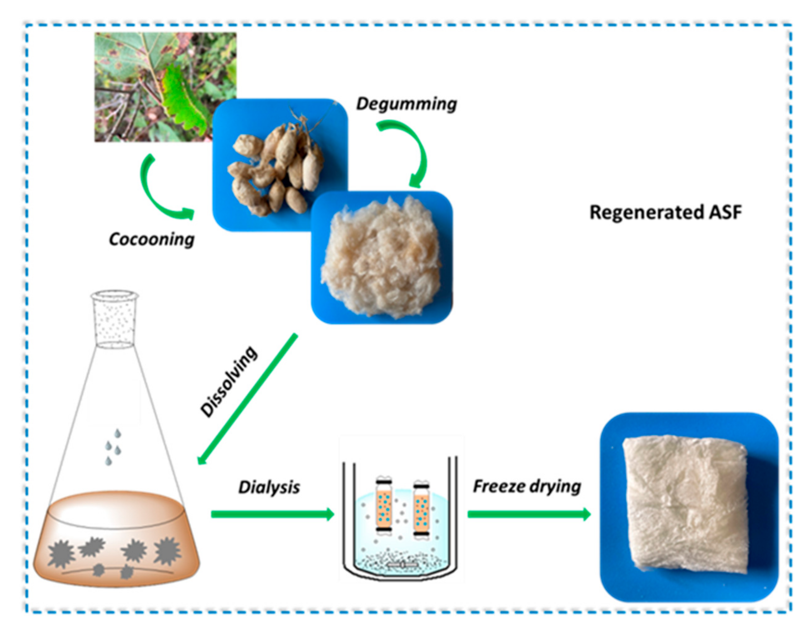 Polymers 14 00108 g001 550