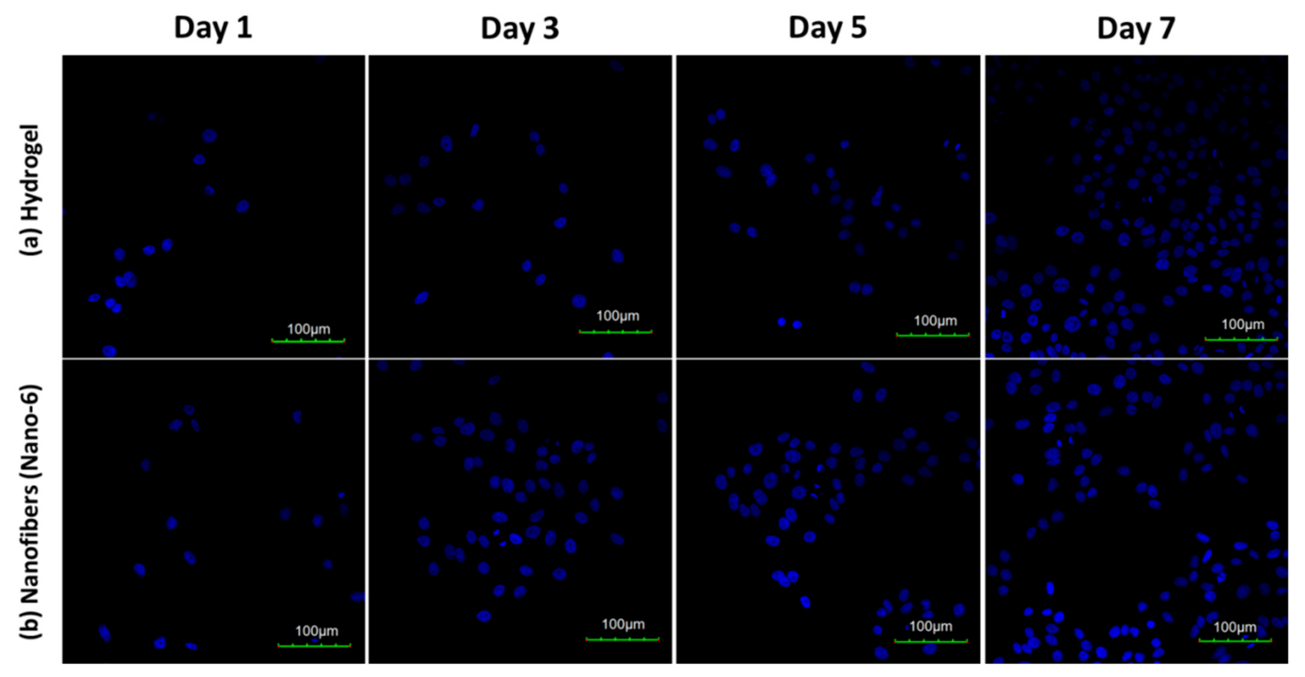 Polymers 14 00108 g012 550