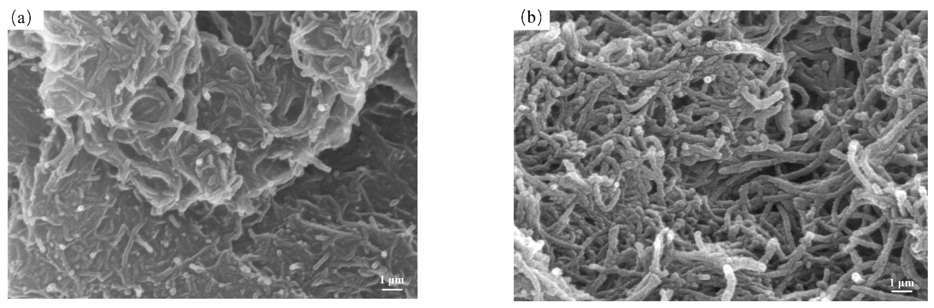 Polymers 14 00110 g003