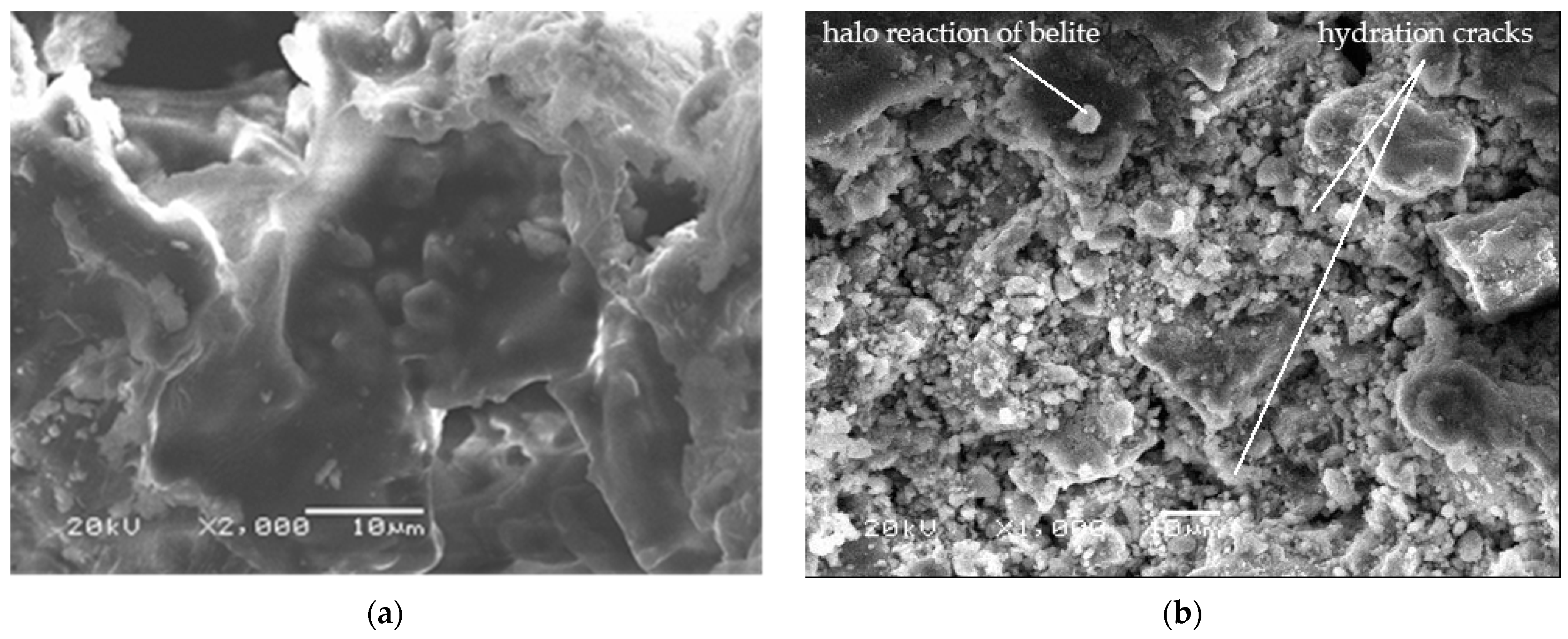 Polymers 14 00111 g008