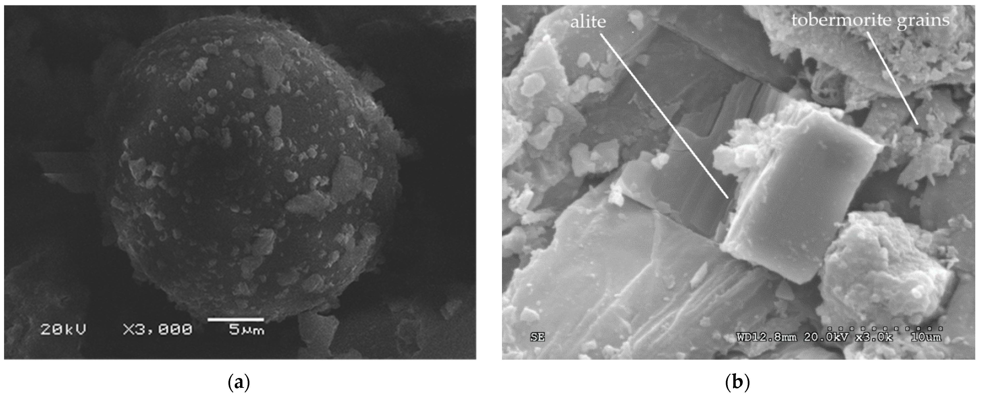 Polymers 14 00111 g011