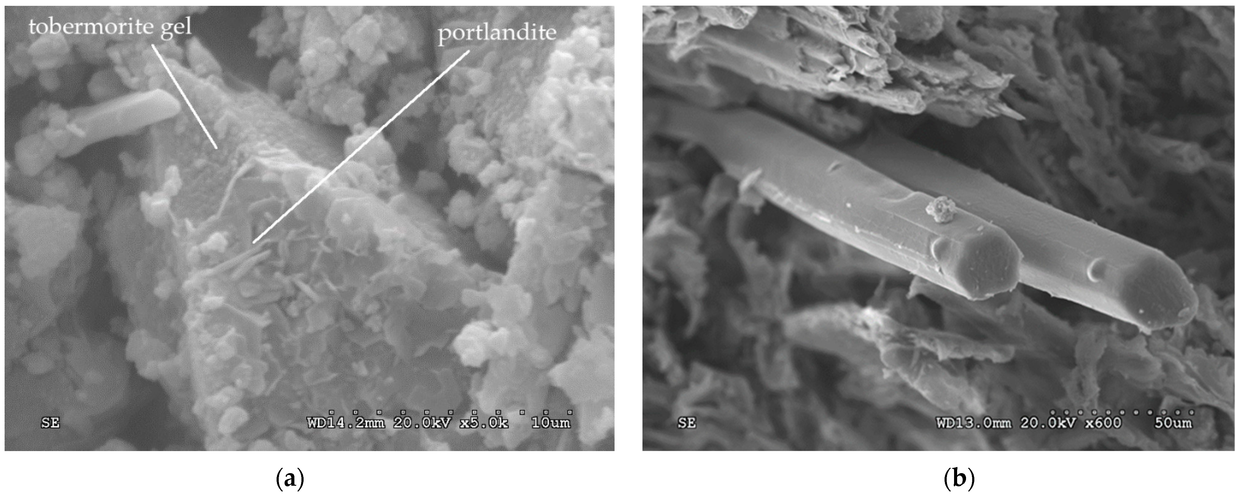 Polymers 14 00111 g012
